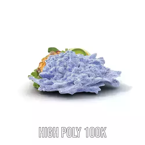 Crisp Cobb Salad model pack Low-poly 3D model 4