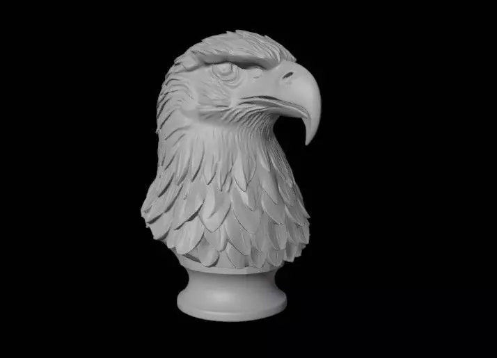 eagle head 3D print model_0
