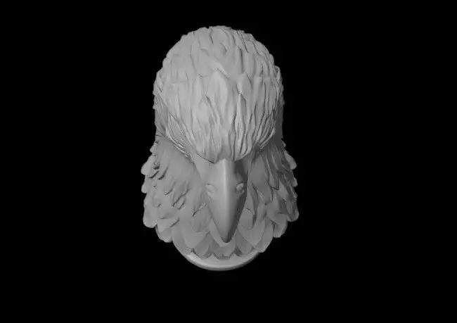 eagle head 3D print model_3
