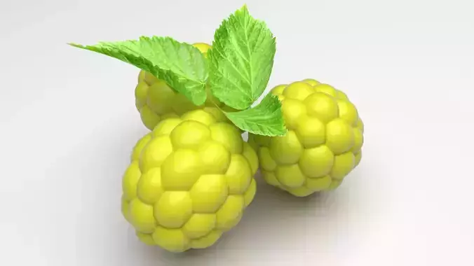 Raspberries With Leaves 3D model