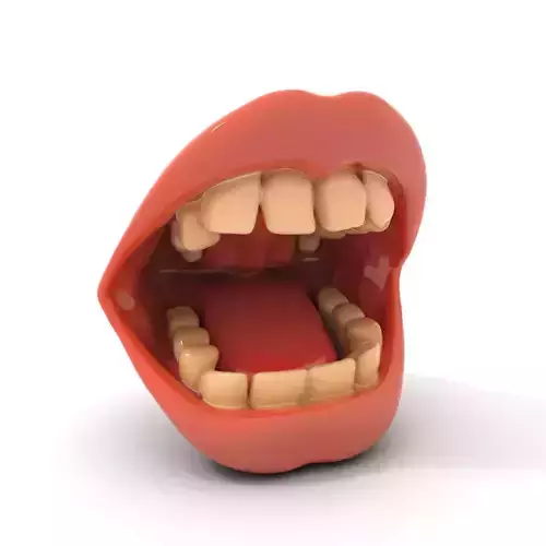Detailed Human Mouth model pack