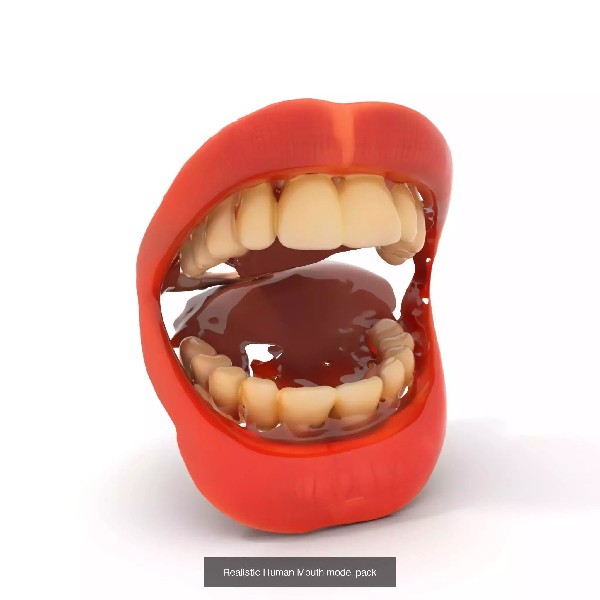 Realistic Human Mouth Models Pack 3D Model Collection_58