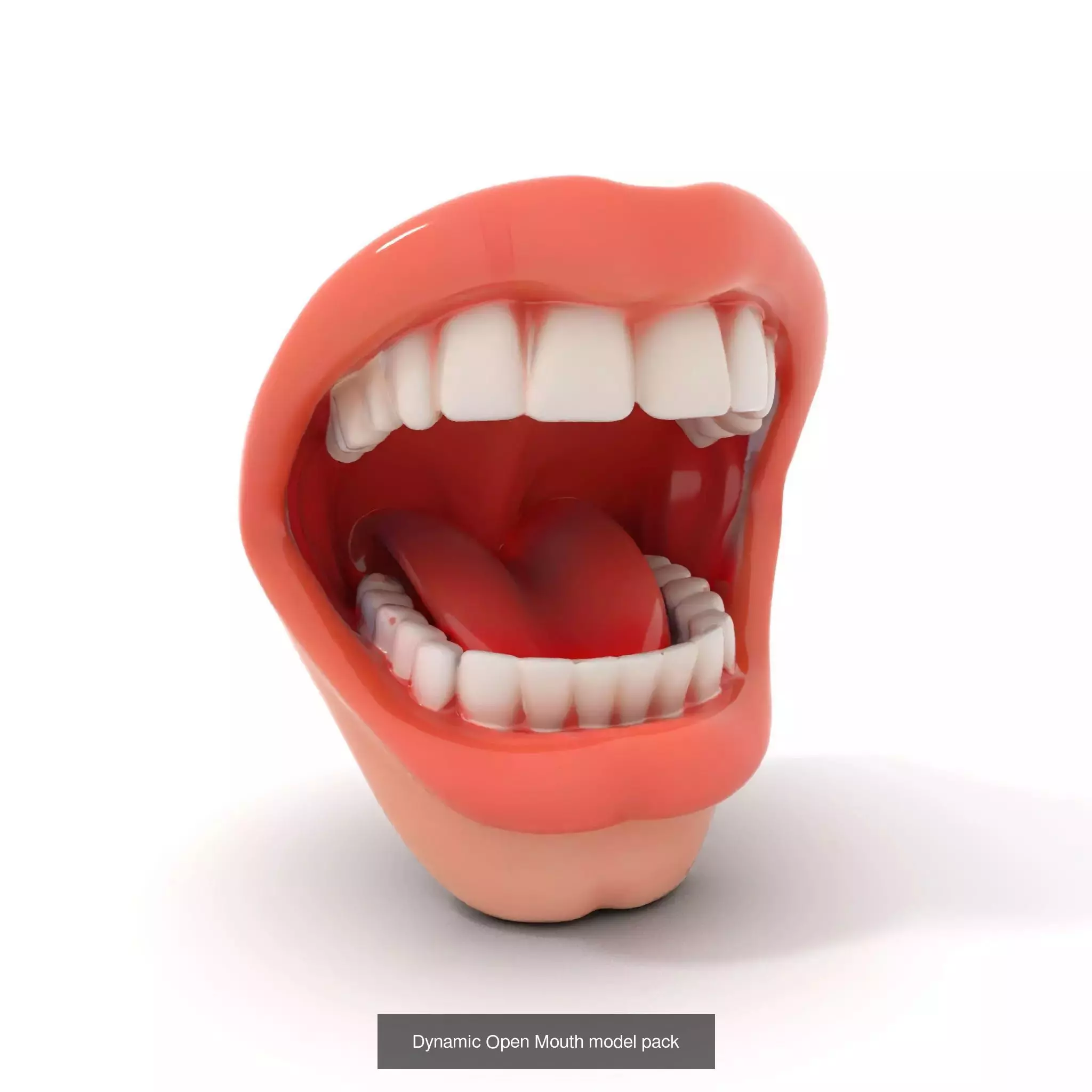 Realistic Human Mouth Models Pack 3D Model Collection_40