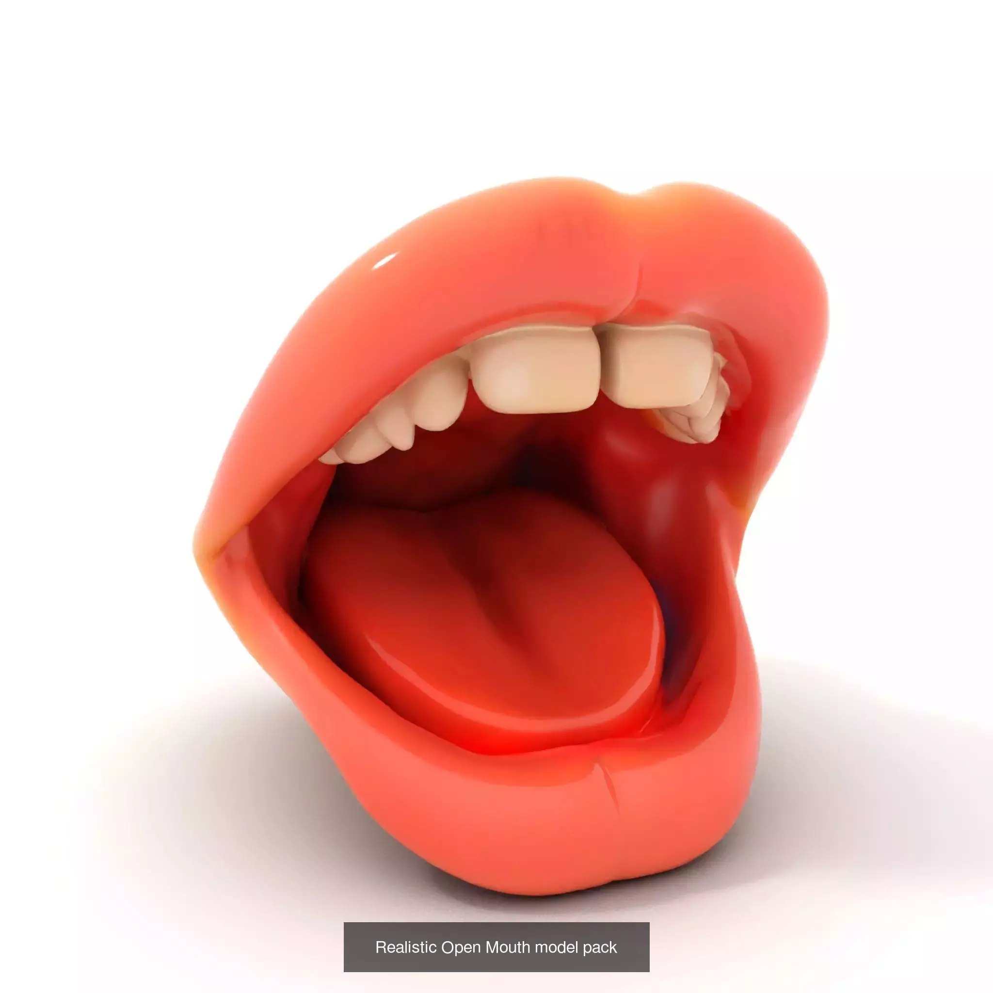 Realistic Human Mouth Models Pack 3D Model Collection_46