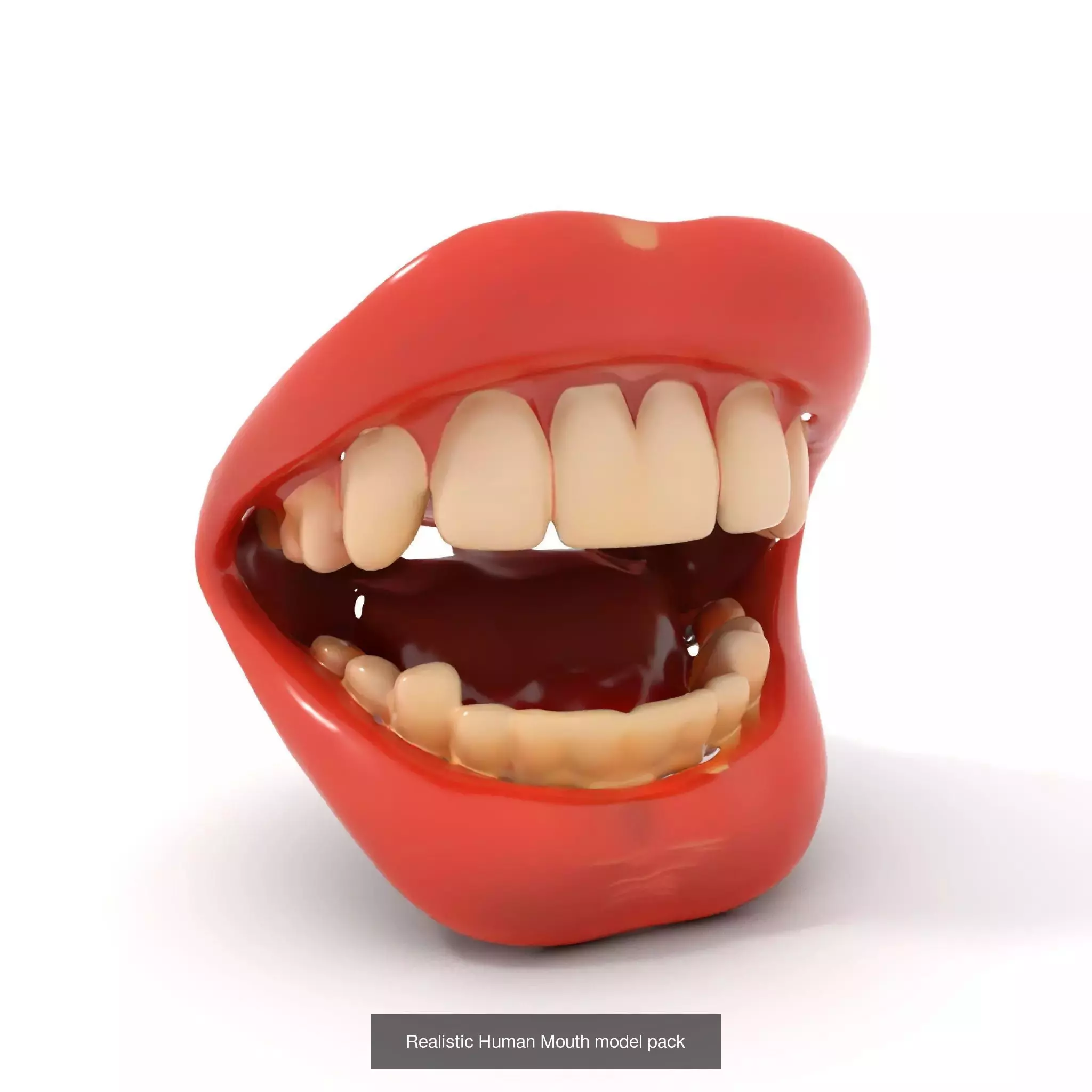 Realistic Human Mouth Models Pack 3D Model Collection_38