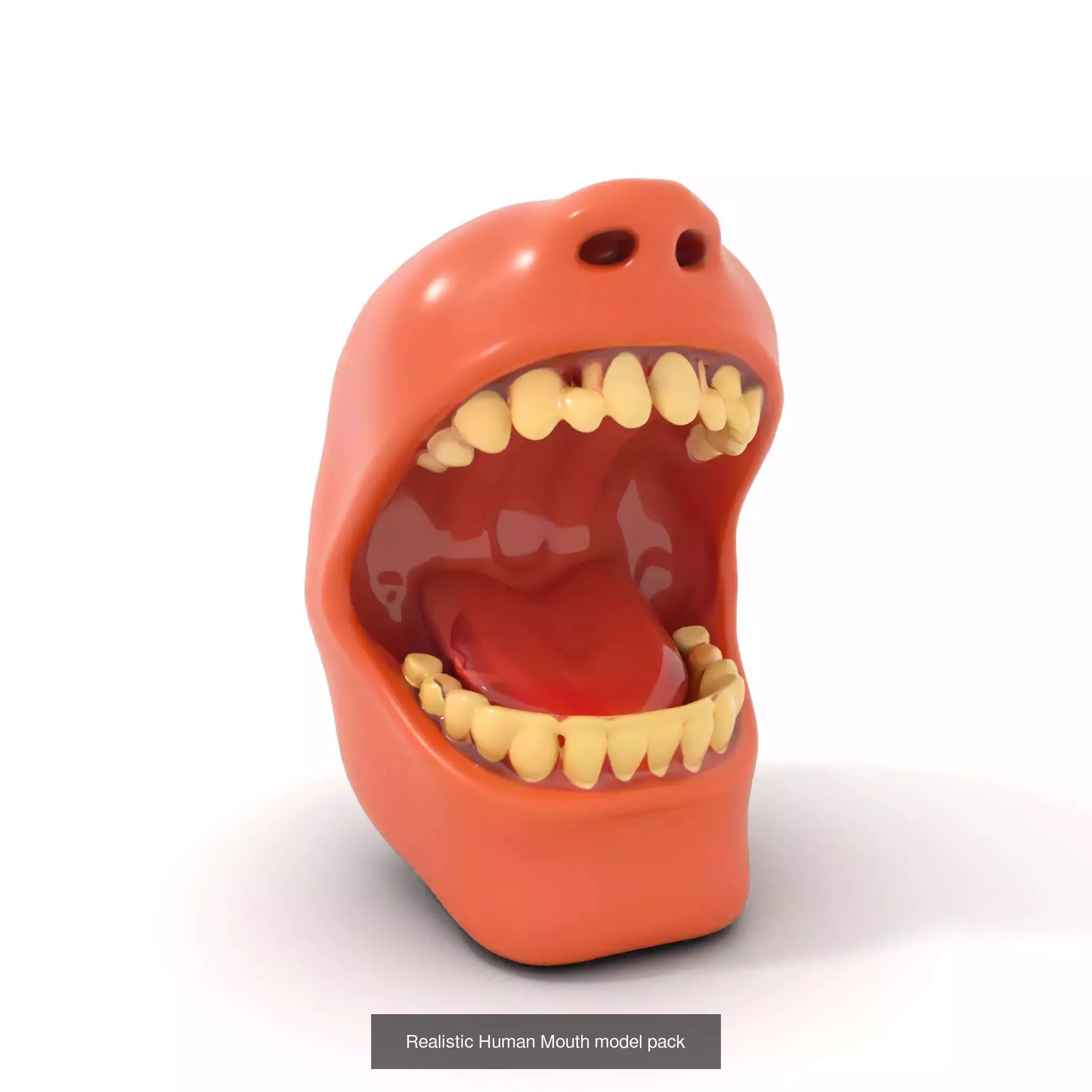 Realistic Human Mouth Models Pack 3D Model Collection_41