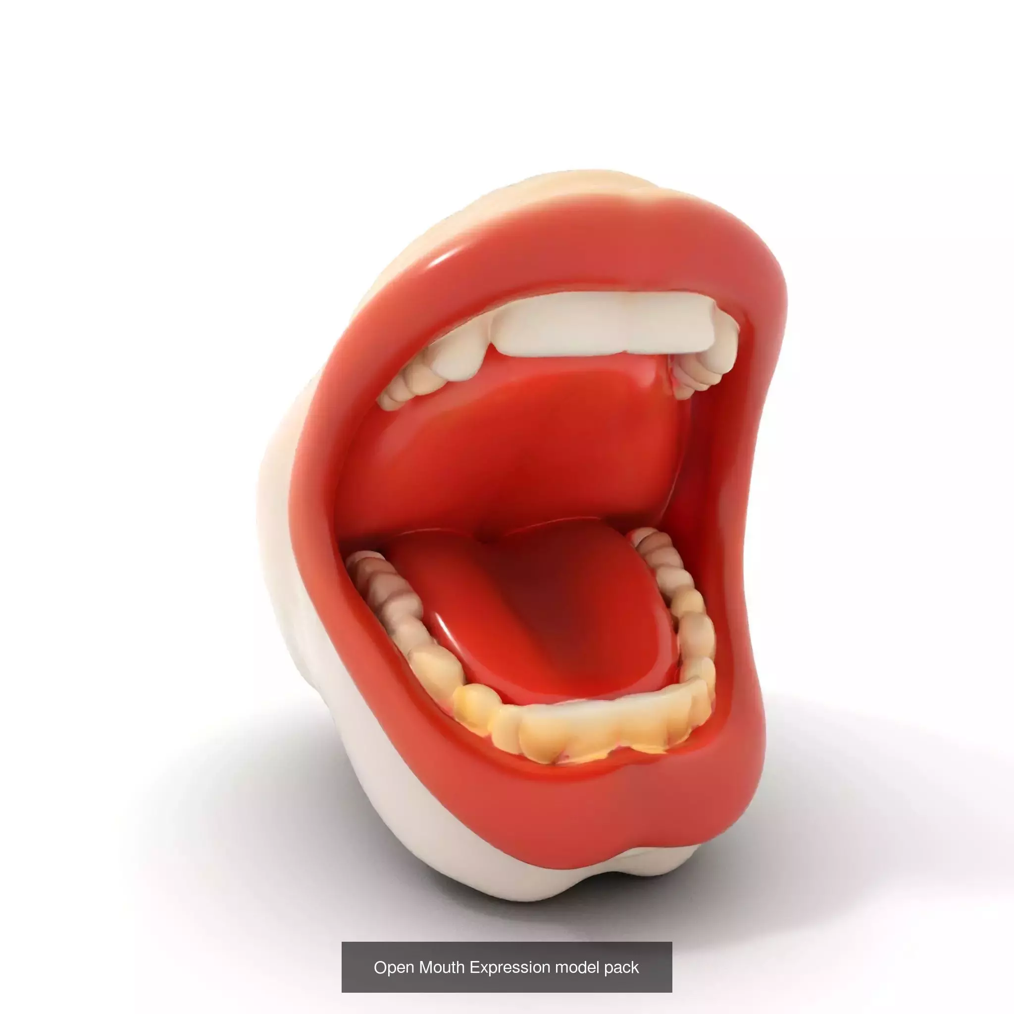 Realistic Human Mouth Models Pack 3D Model Collection_49