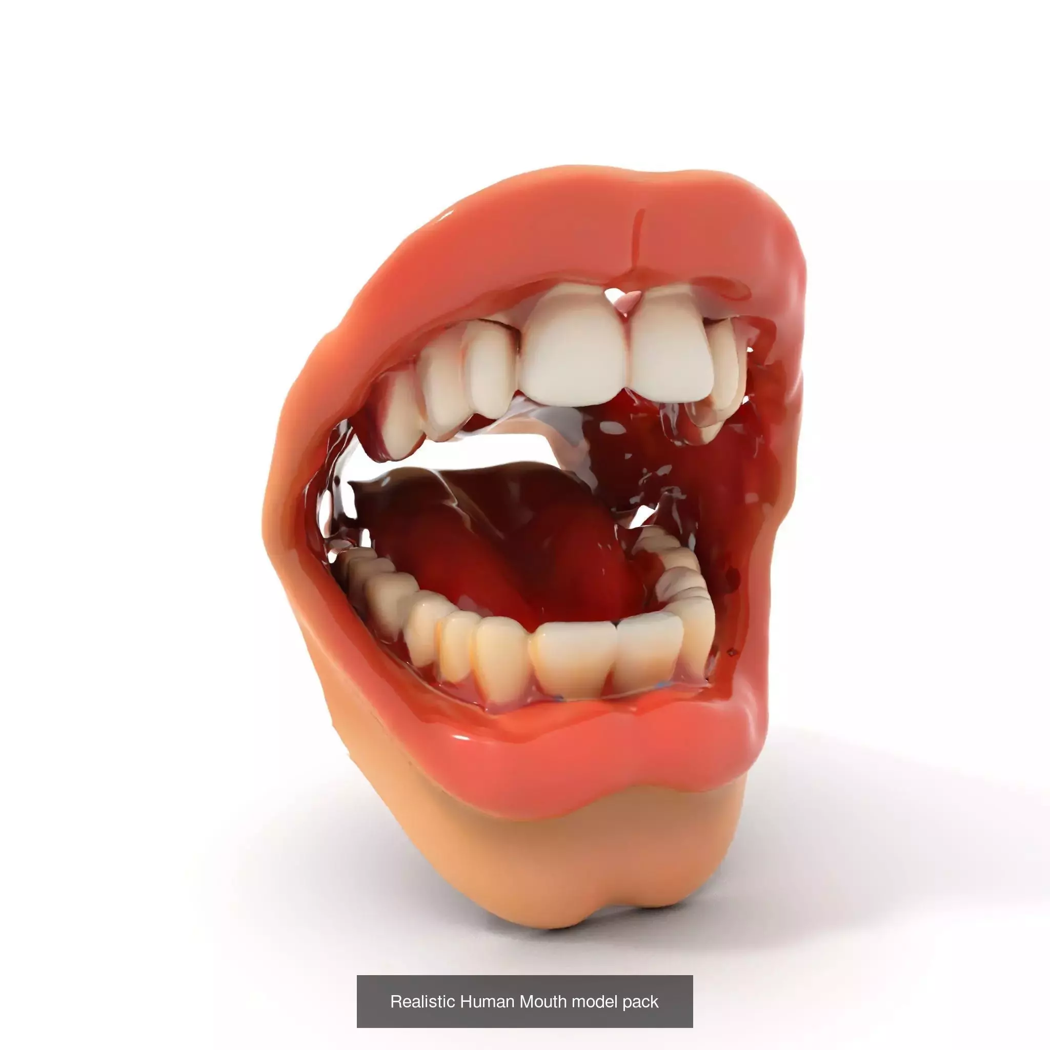 Realistic Human Mouth Models Pack 3D Model Collection_43