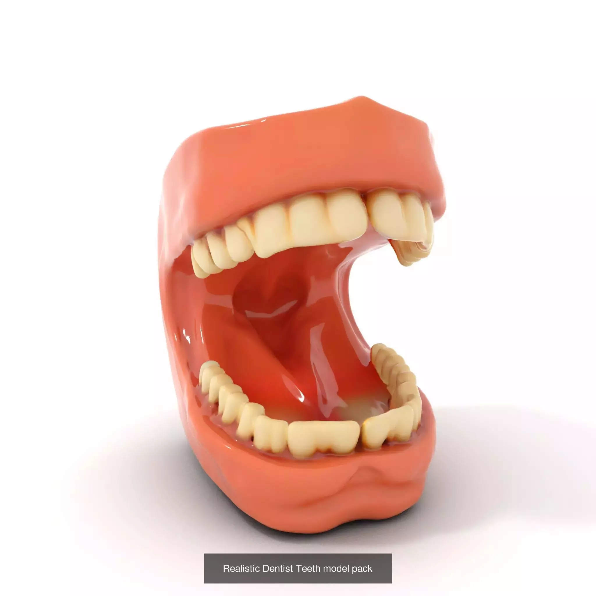 Realistic Human Mouth Models Pack 3D Model Collection_52