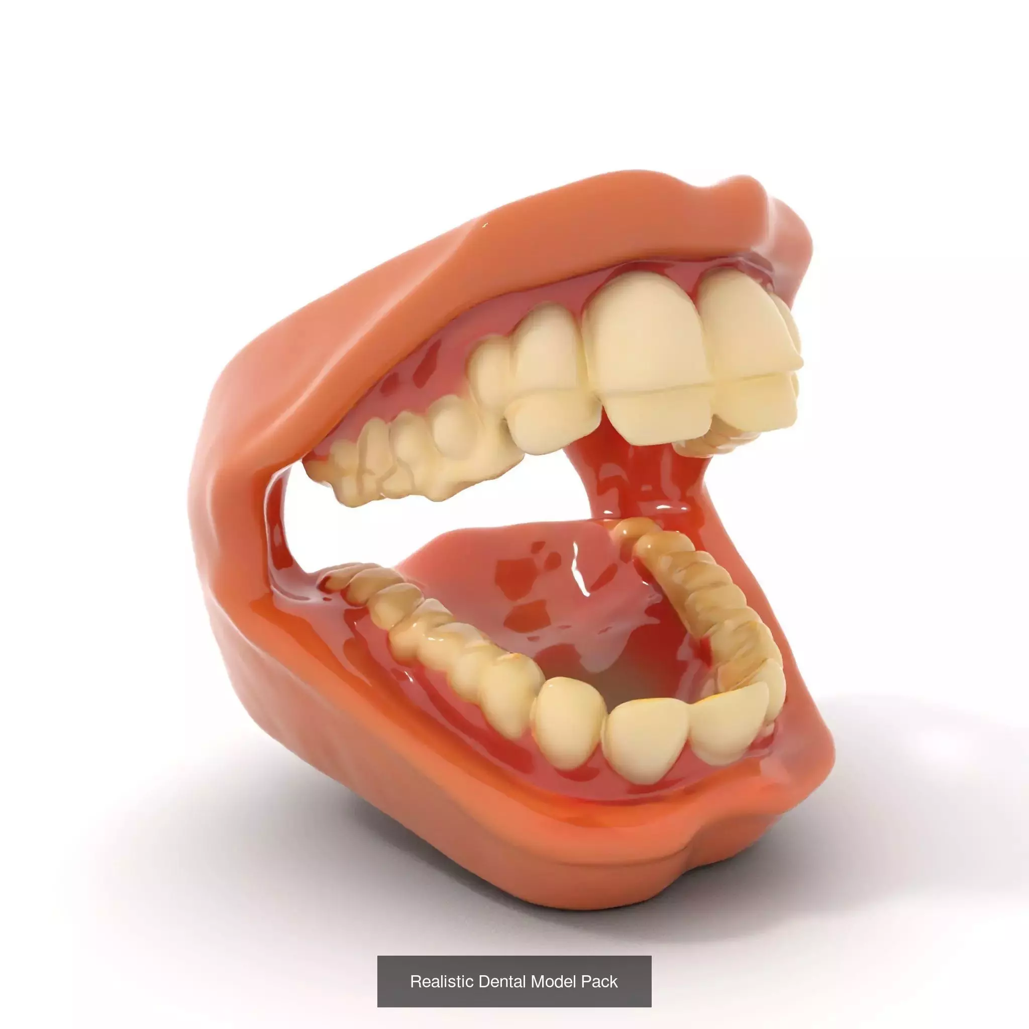 Realistic Human Mouth Models Pack 3D Model Collection_62