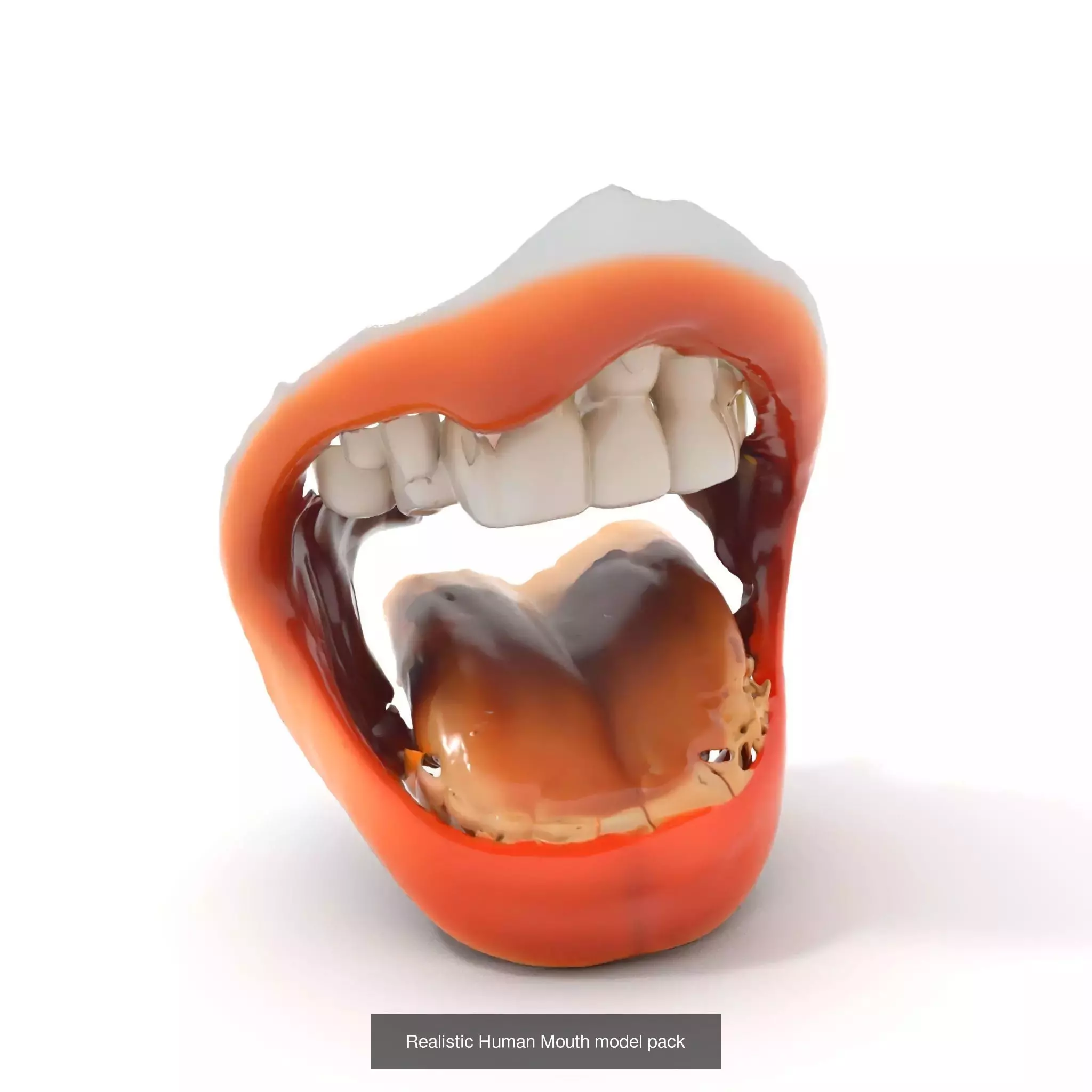 Realistic Human Mouth Models Pack 3D Model Collection_64