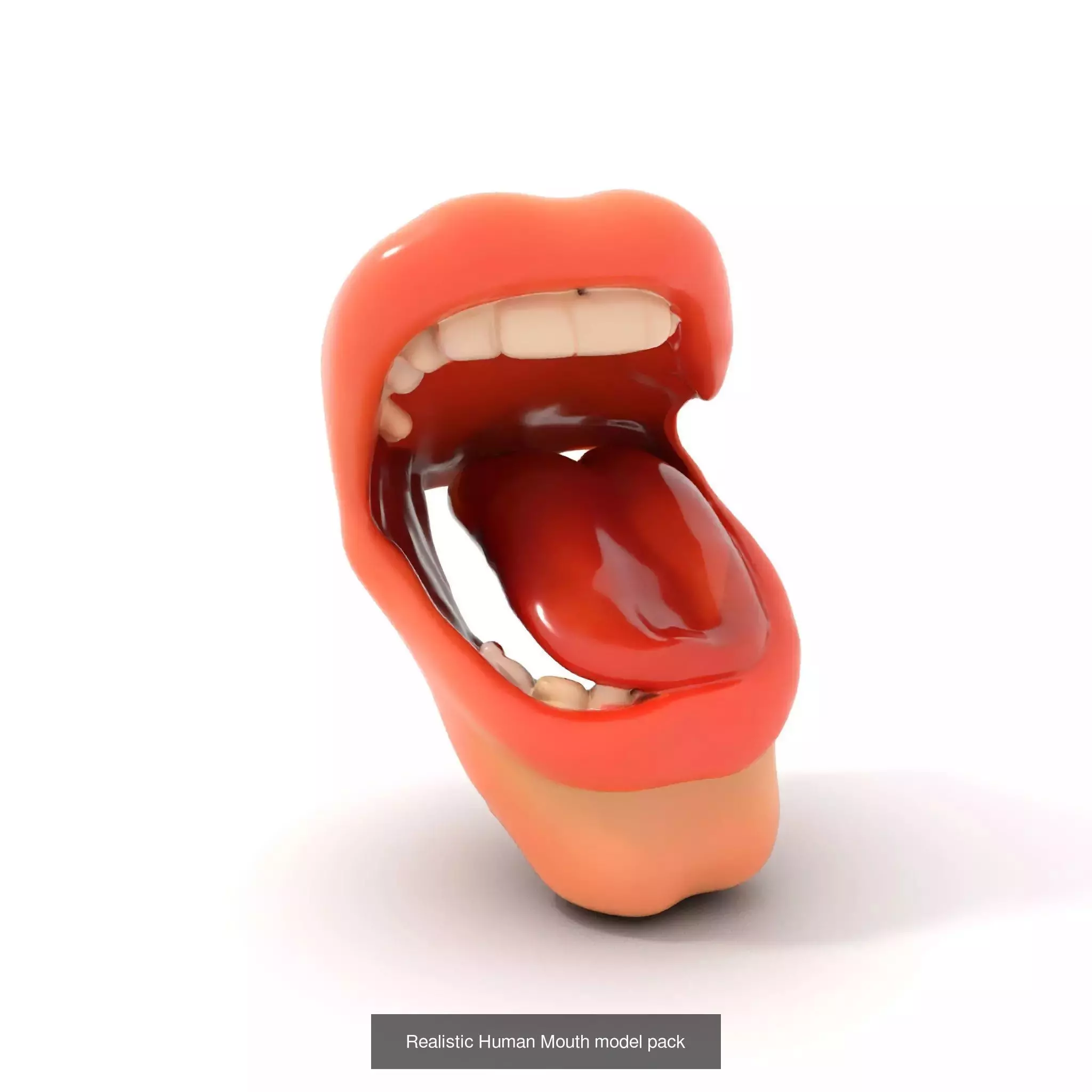 Realistic Human Mouth Models Pack 3D Model Collection_55