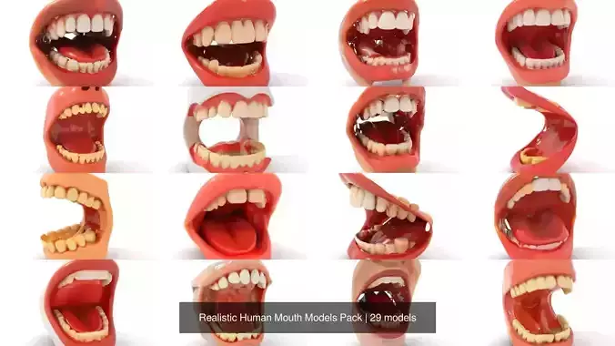 Realistic Human Mouth Models Pack 3D Model Collection