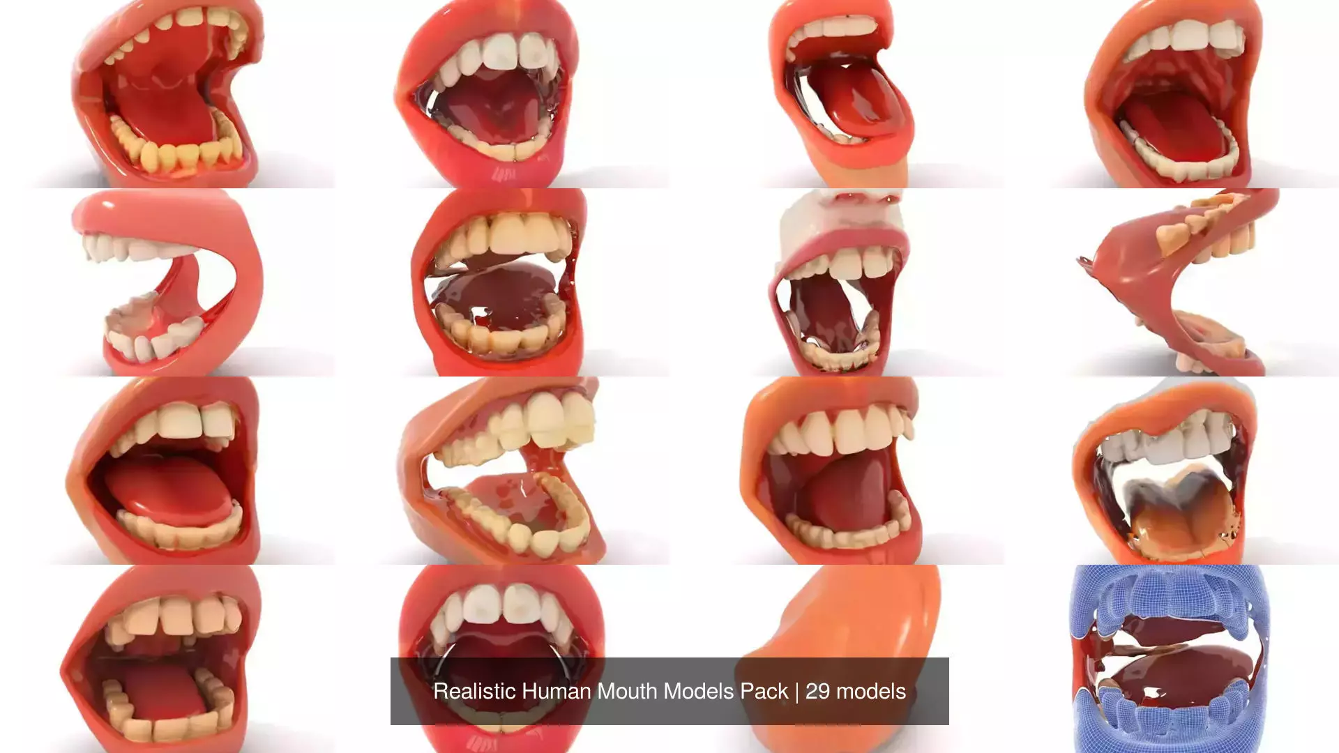 Realistic Human Mouth Models Pack 3D Model Collection_36