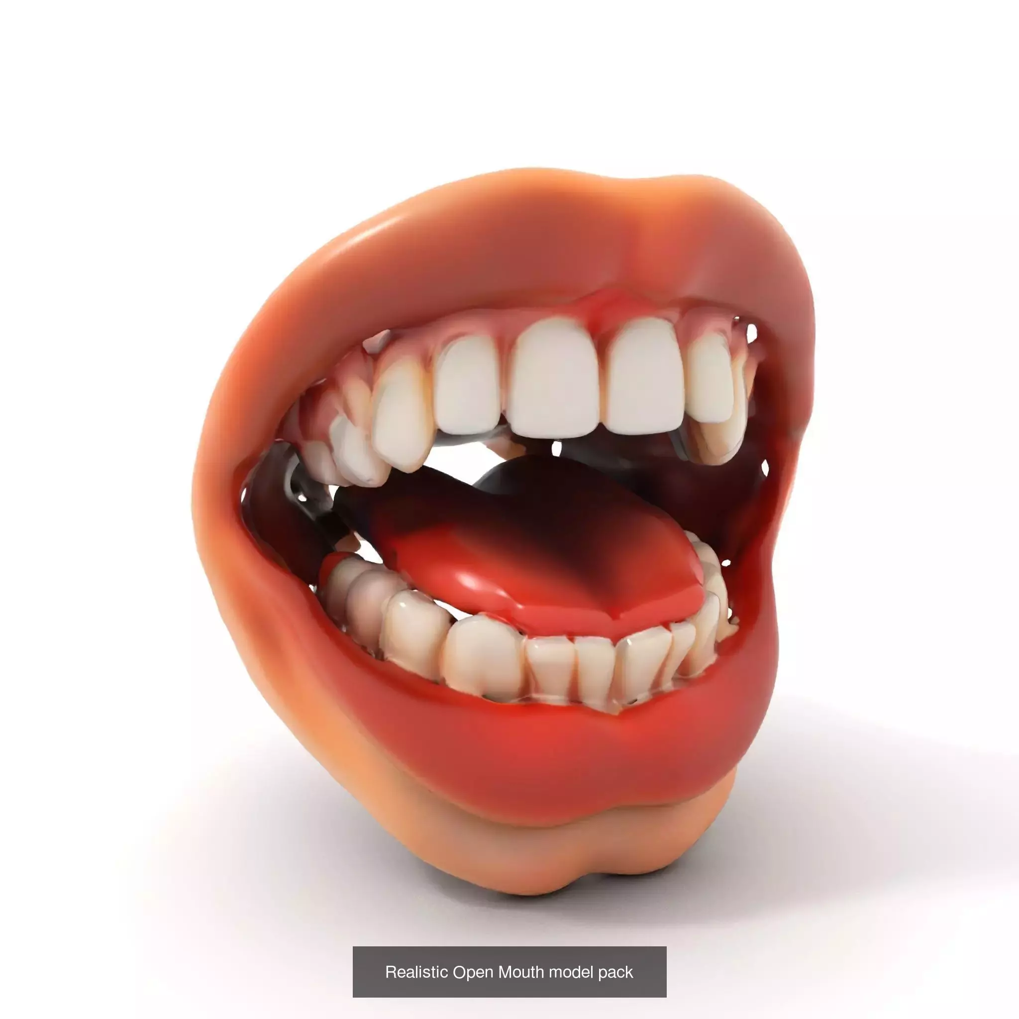Realistic Human Mouth Models Pack 3D Model Collection_37
