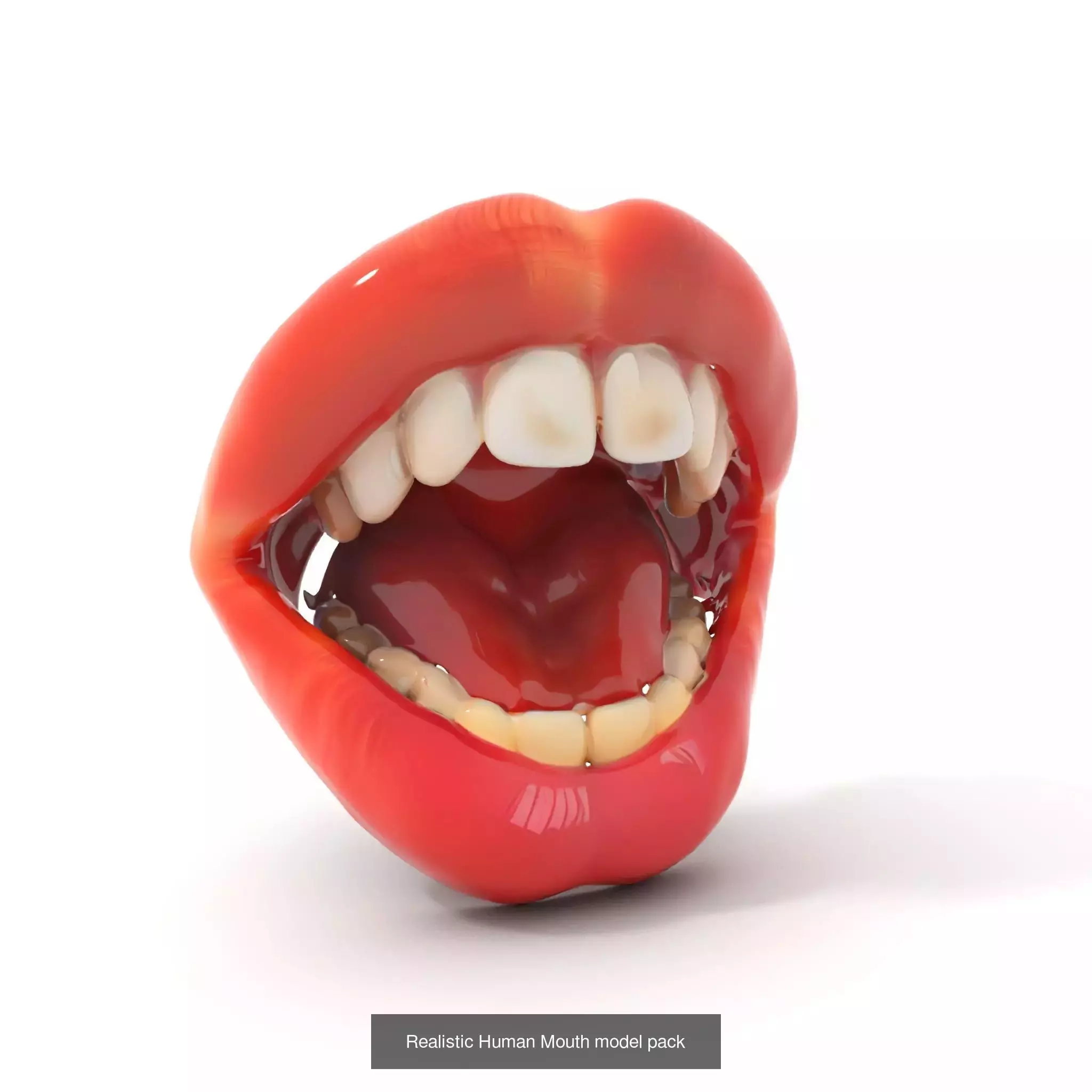Realistic Human Mouth Models Pack 3D Model Collection_54