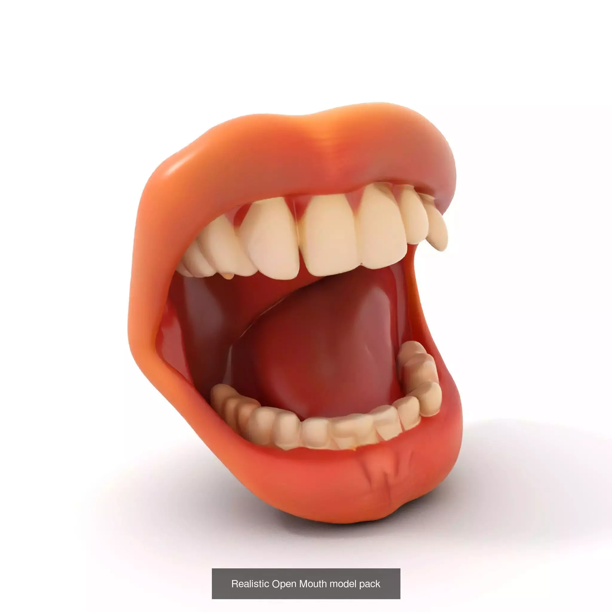 Realistic Human Mouth Models Pack 3D Model Collection_63
