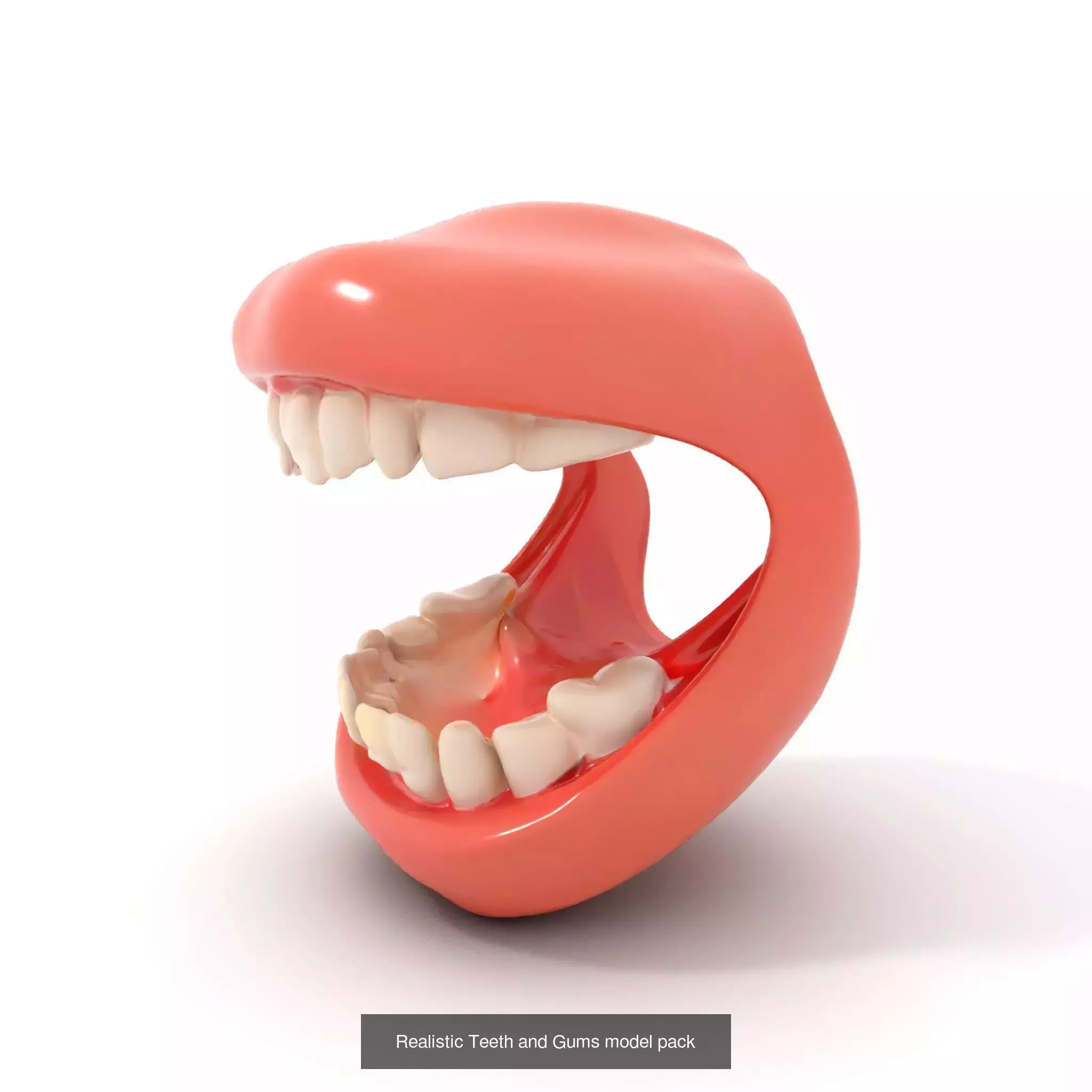 Realistic Human Mouth Models Pack 3D Model Collection_57