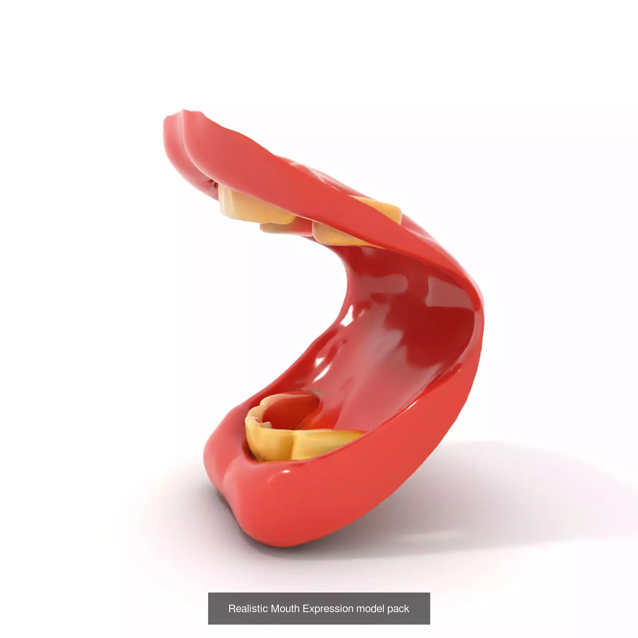 Realistic Human Mouth Models Pack 3D Model Collection_44
