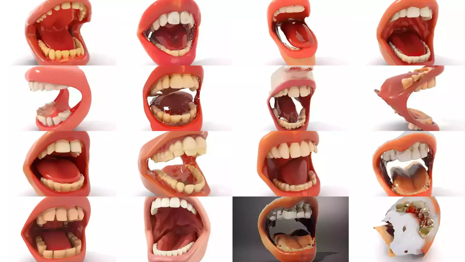Realistic Human Mouth Models Pack 3D Model Collection_35