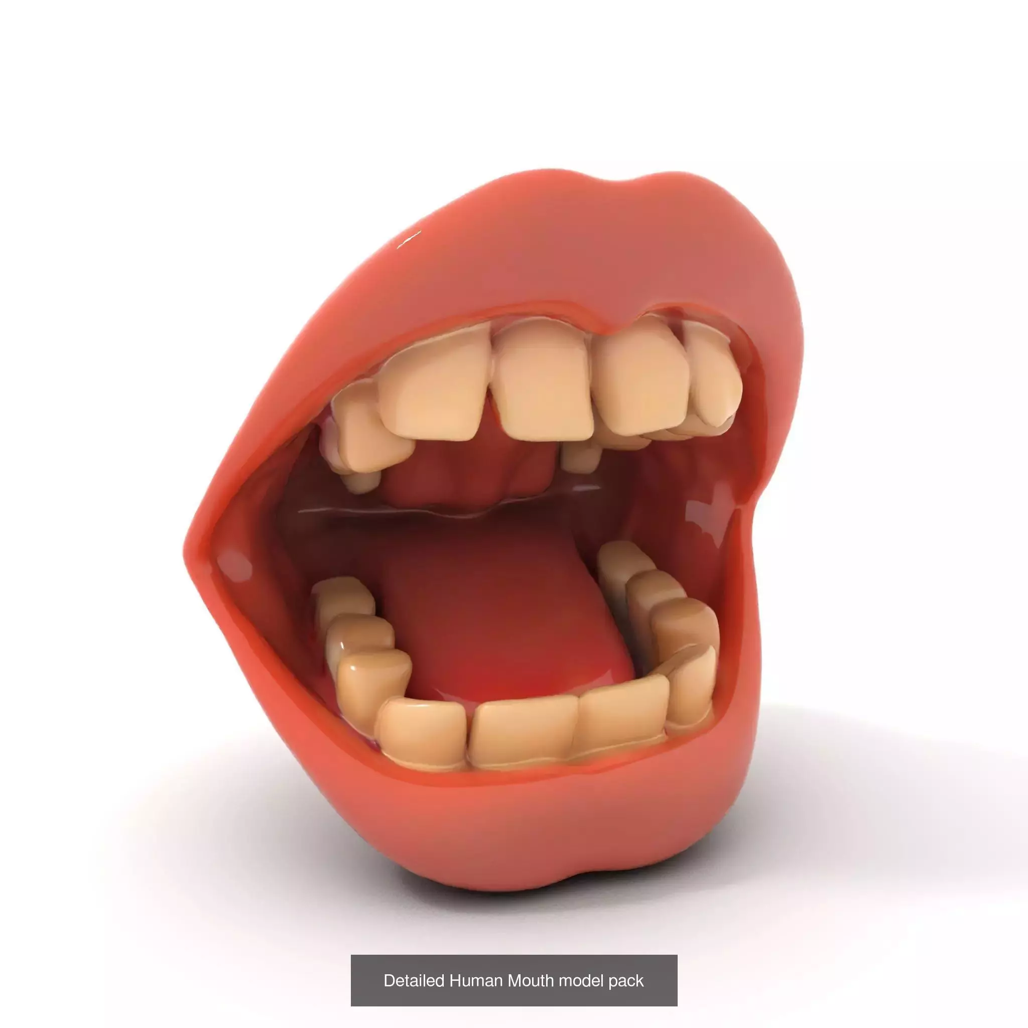 Realistic Human Mouth Models Pack 3D Model Collection_65