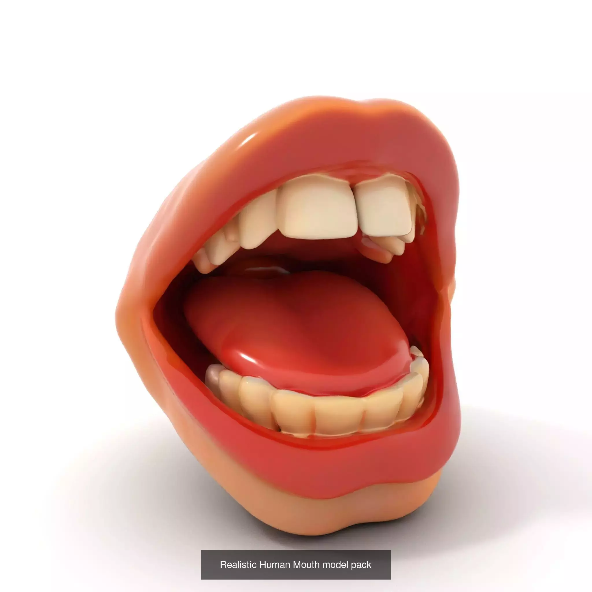 Realistic Human Mouth Models Pack 3D Model Collection_61