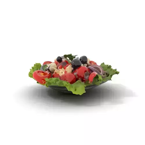 Greek Salad Freshness model pack Low-poly 3D model 6