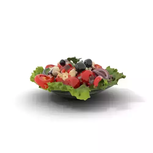 Greek Salad Freshness model pack