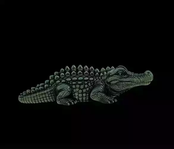Crocodile 
