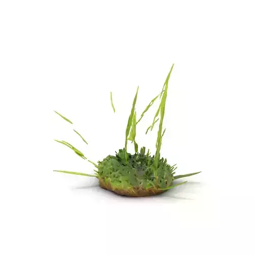 Verdant Grass Cluster model pack Low-poly 3D model