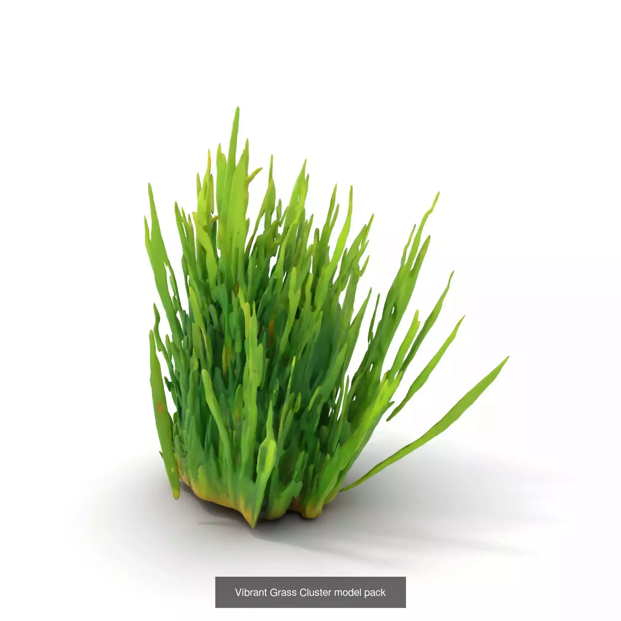 Natures Artistry A 3D Grass Model Collection _35