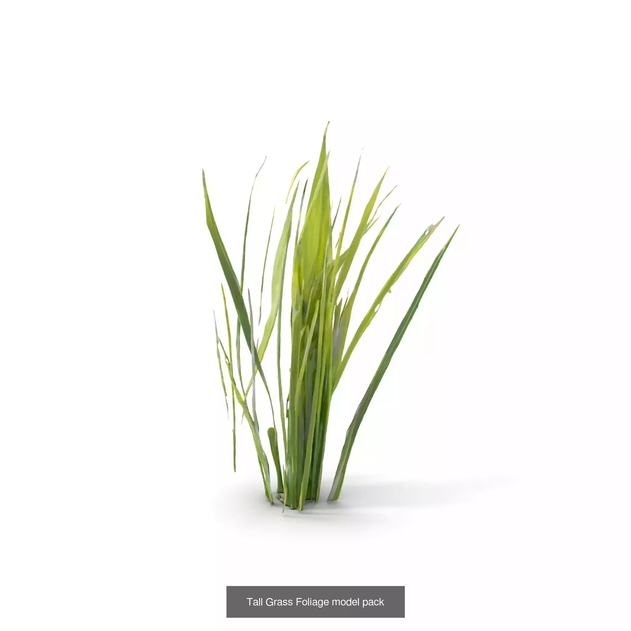 Natures Artistry A 3D Grass Model Collection _24