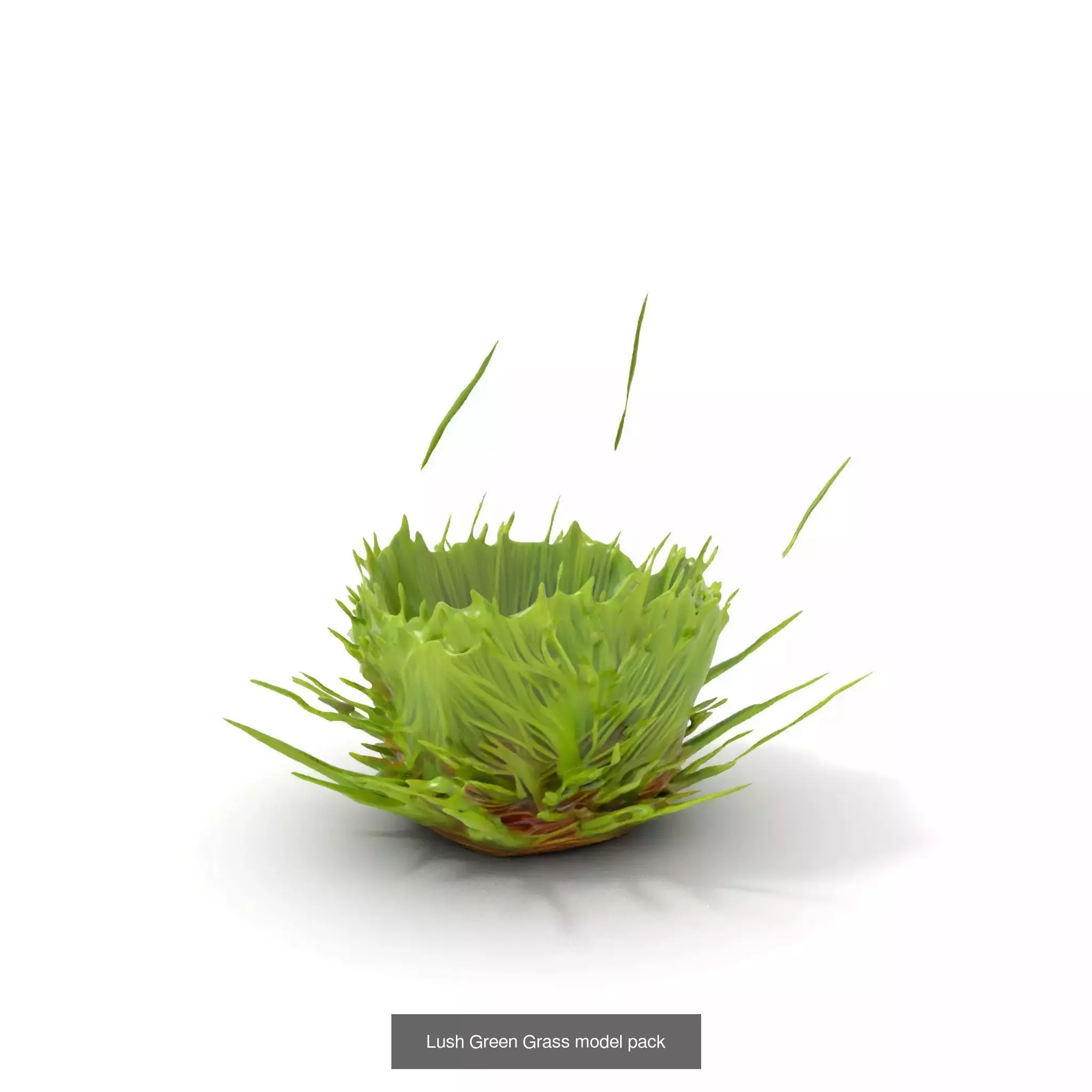 Natures Artistry A 3D Grass Model Collection _30