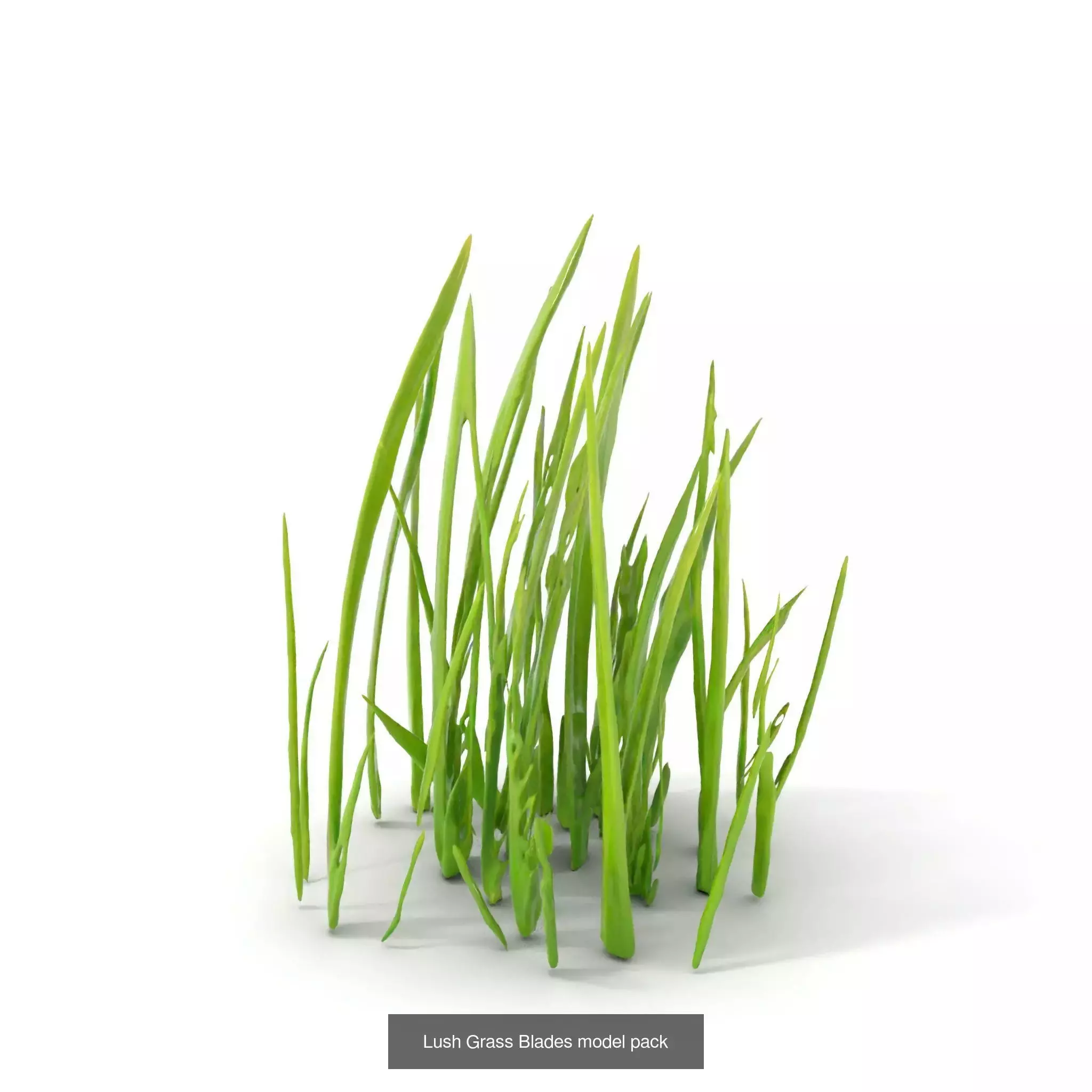 Natures Artistry A 3D Grass Model Collection _25