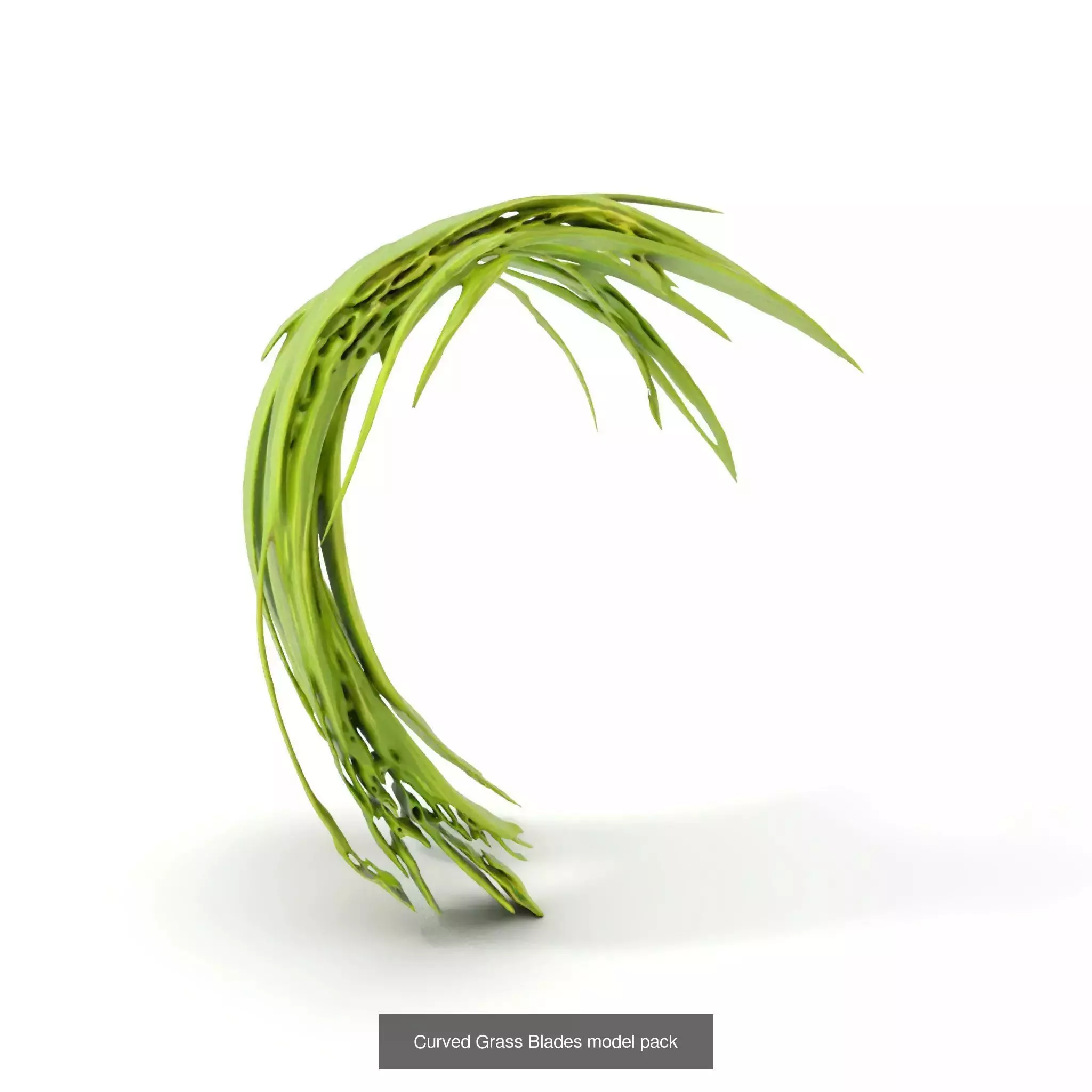 Natures Artistry A 3D Grass Model Collection _34