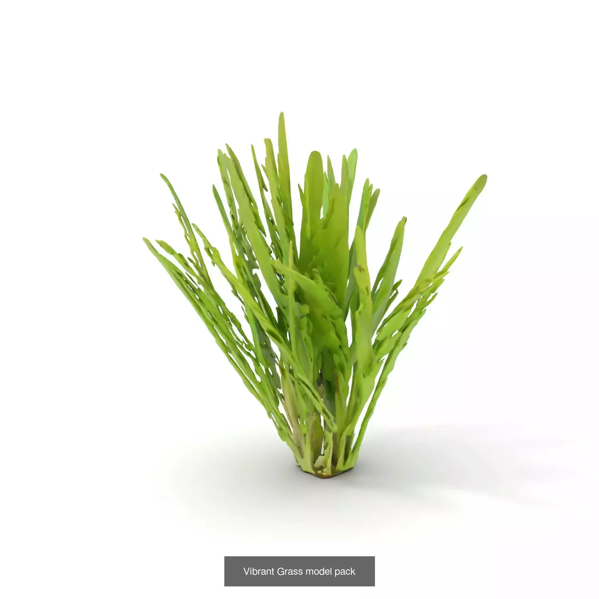 Natures Artistry A 3D Grass Model Collection _36