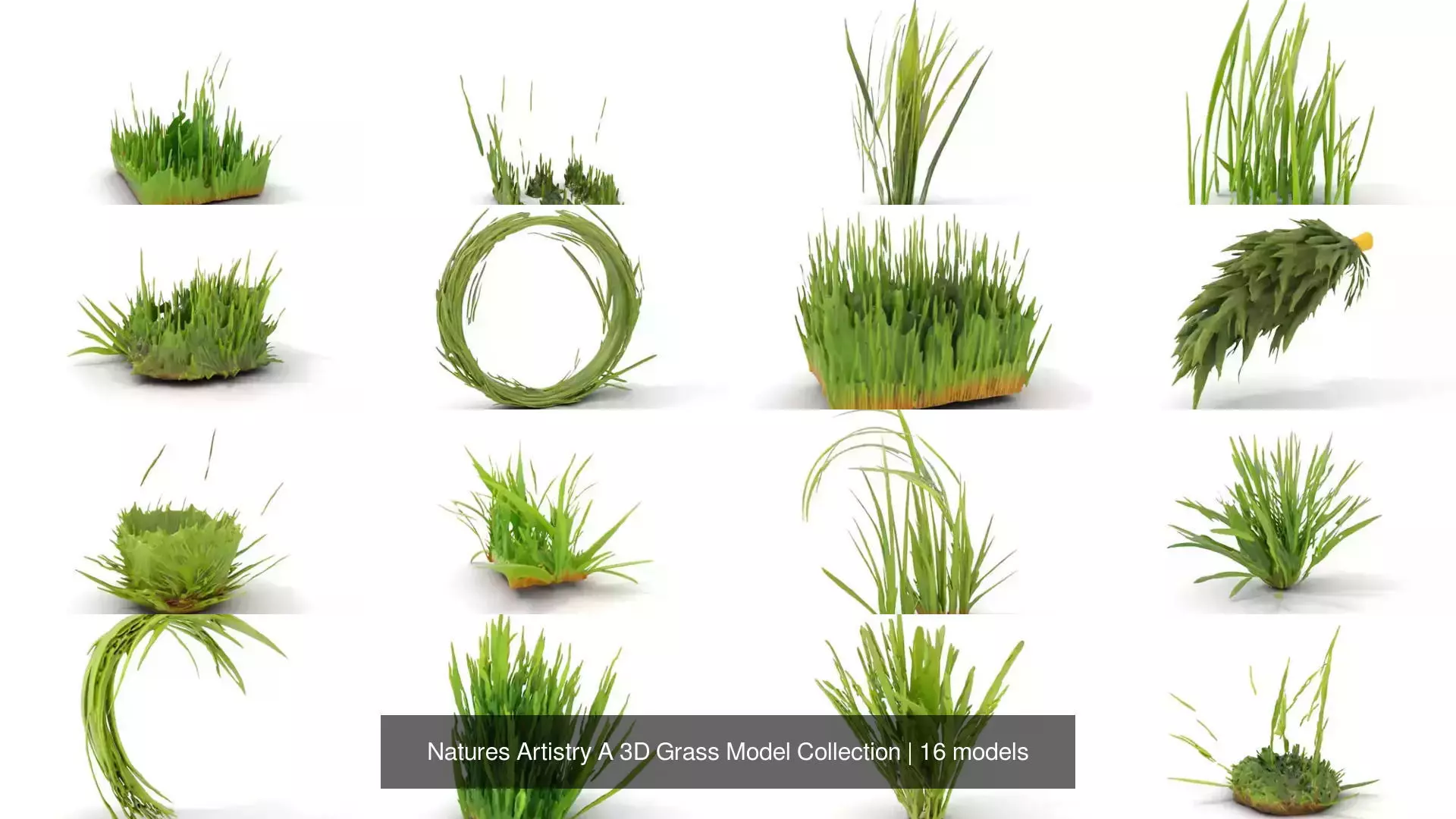 Natures Artistry A 3D Grass Model Collection _0