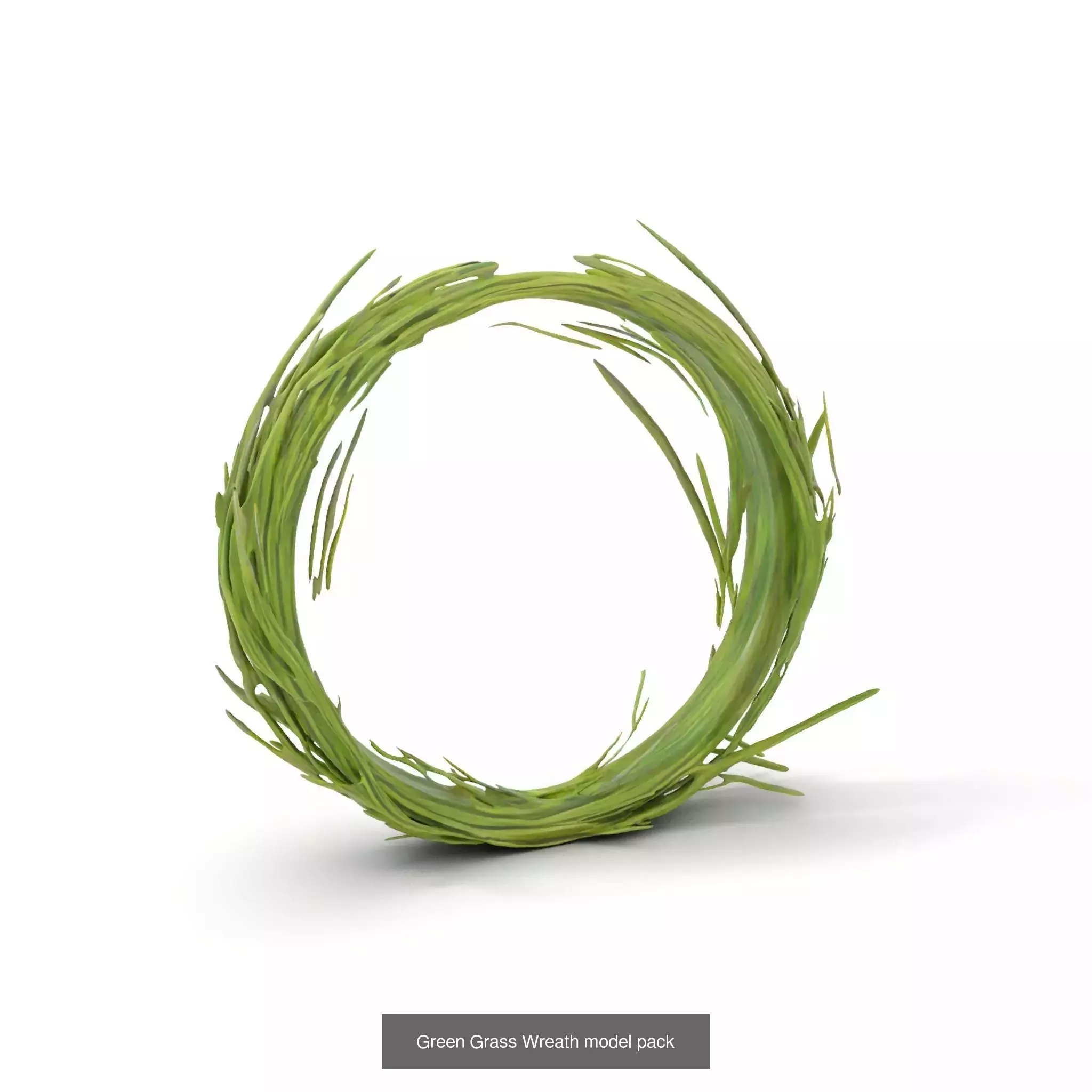 Natures Artistry A 3D Grass Model Collection _27