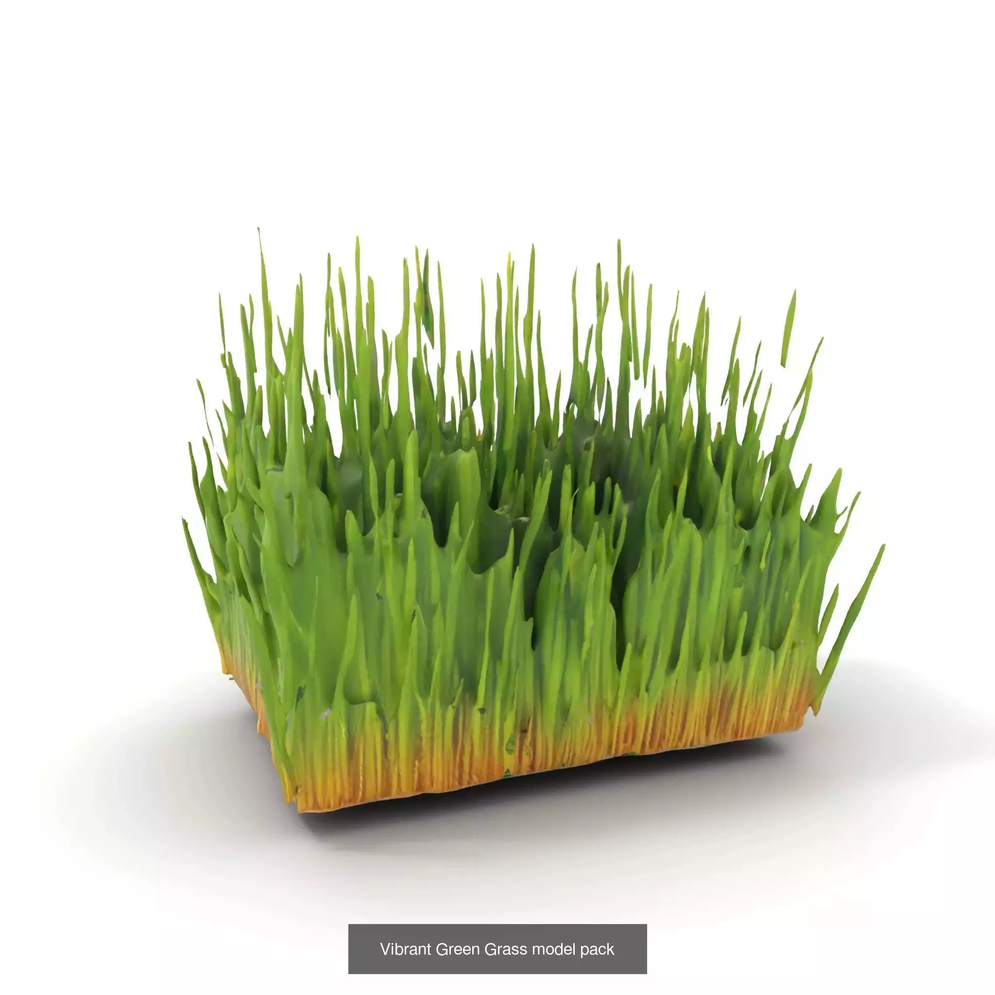 Natures Artistry A 3D Grass Model Collection _28