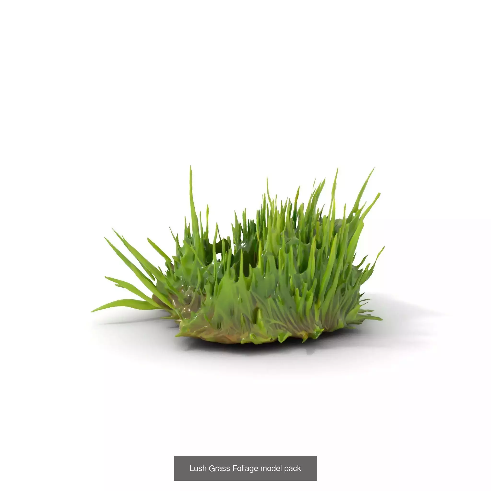 Natures Artistry A 3D Grass Model Collection _26