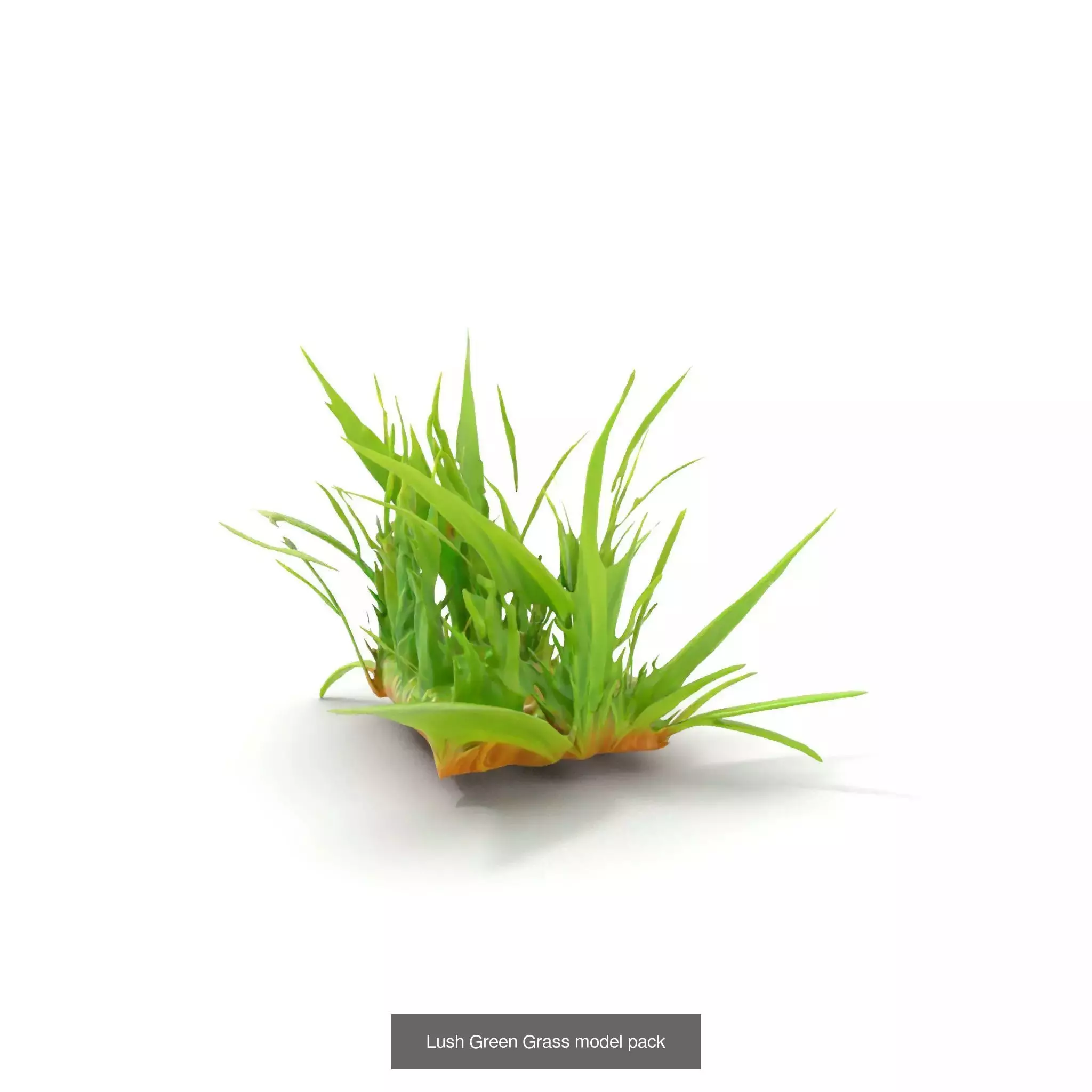 Natures Artistry A 3D Grass Model Collection _31