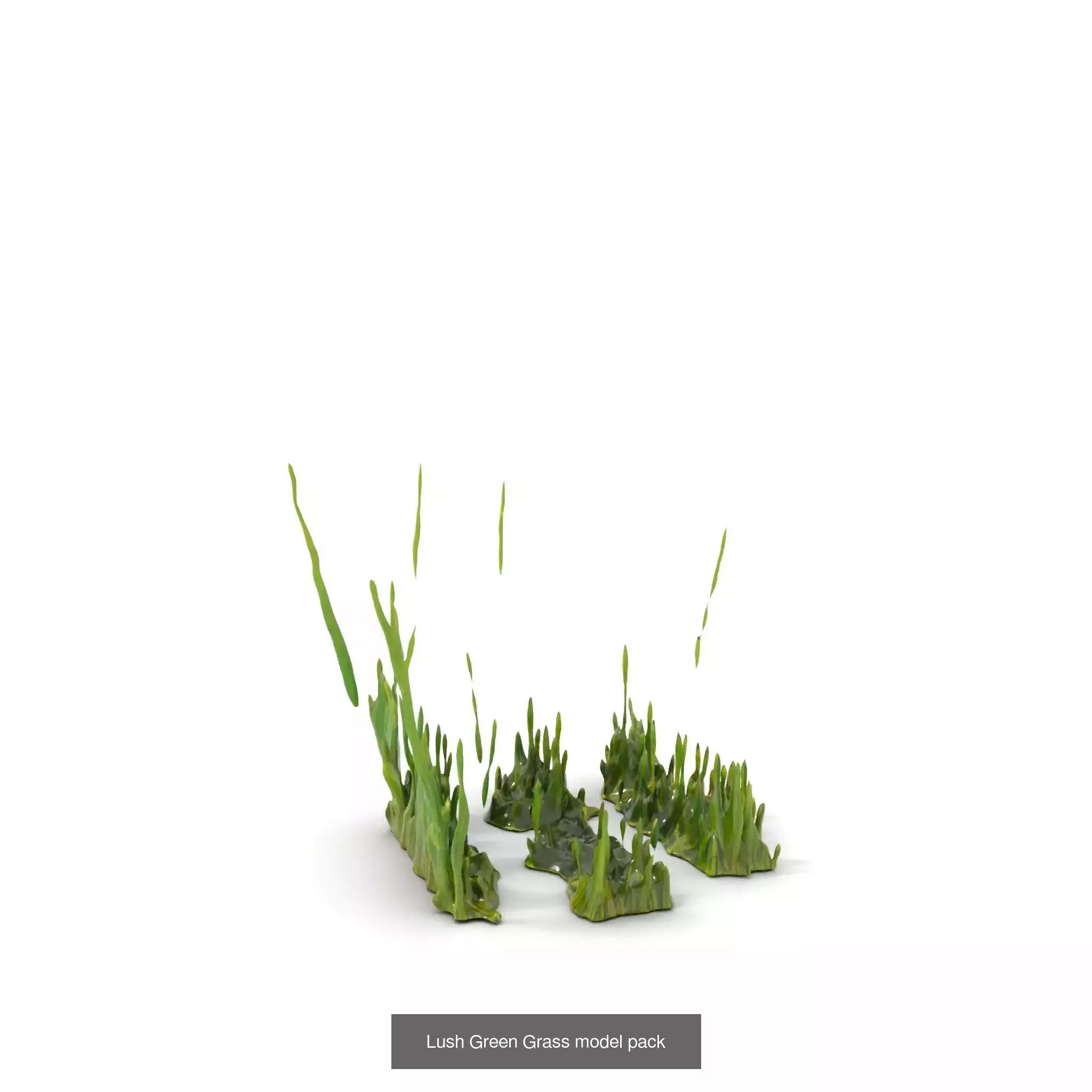 Natures Artistry A 3D Grass Model Collection _23