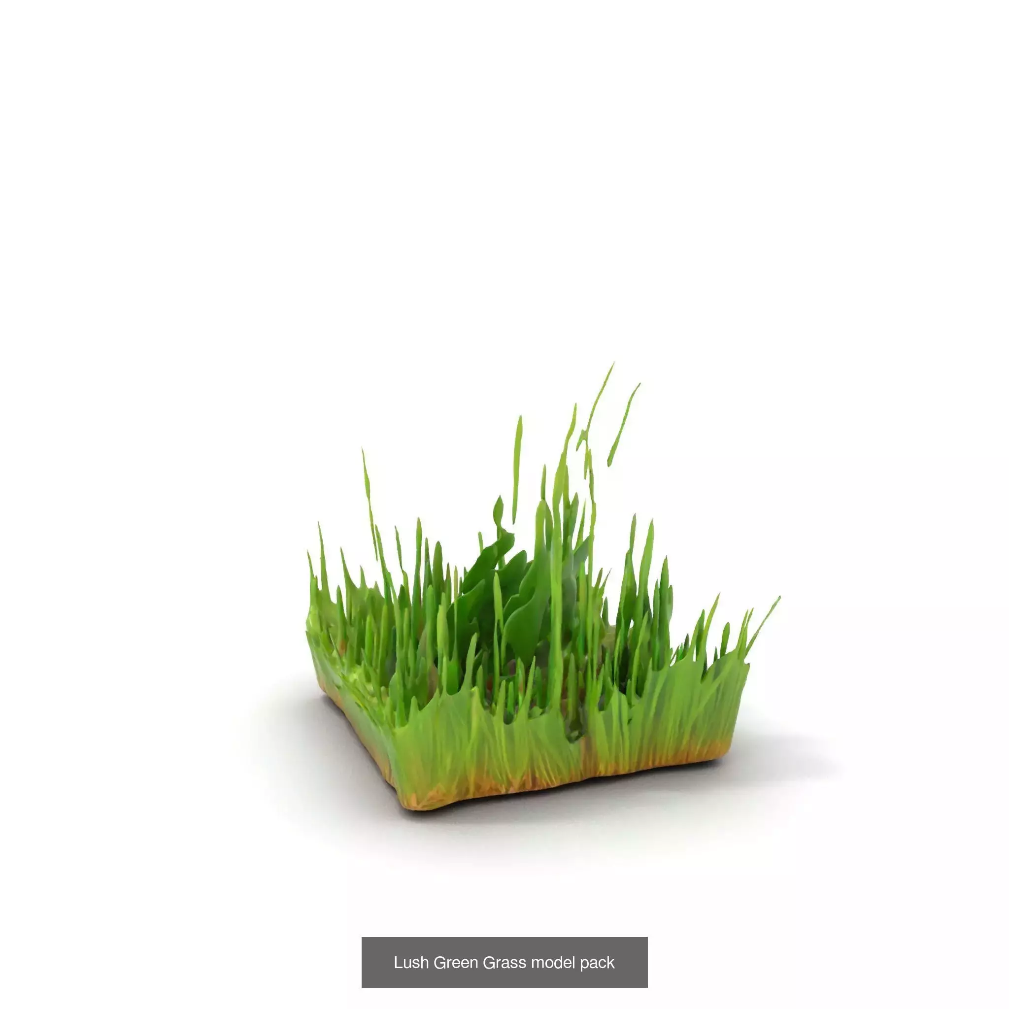 Natures Artistry A 3D Grass Model Collection _22