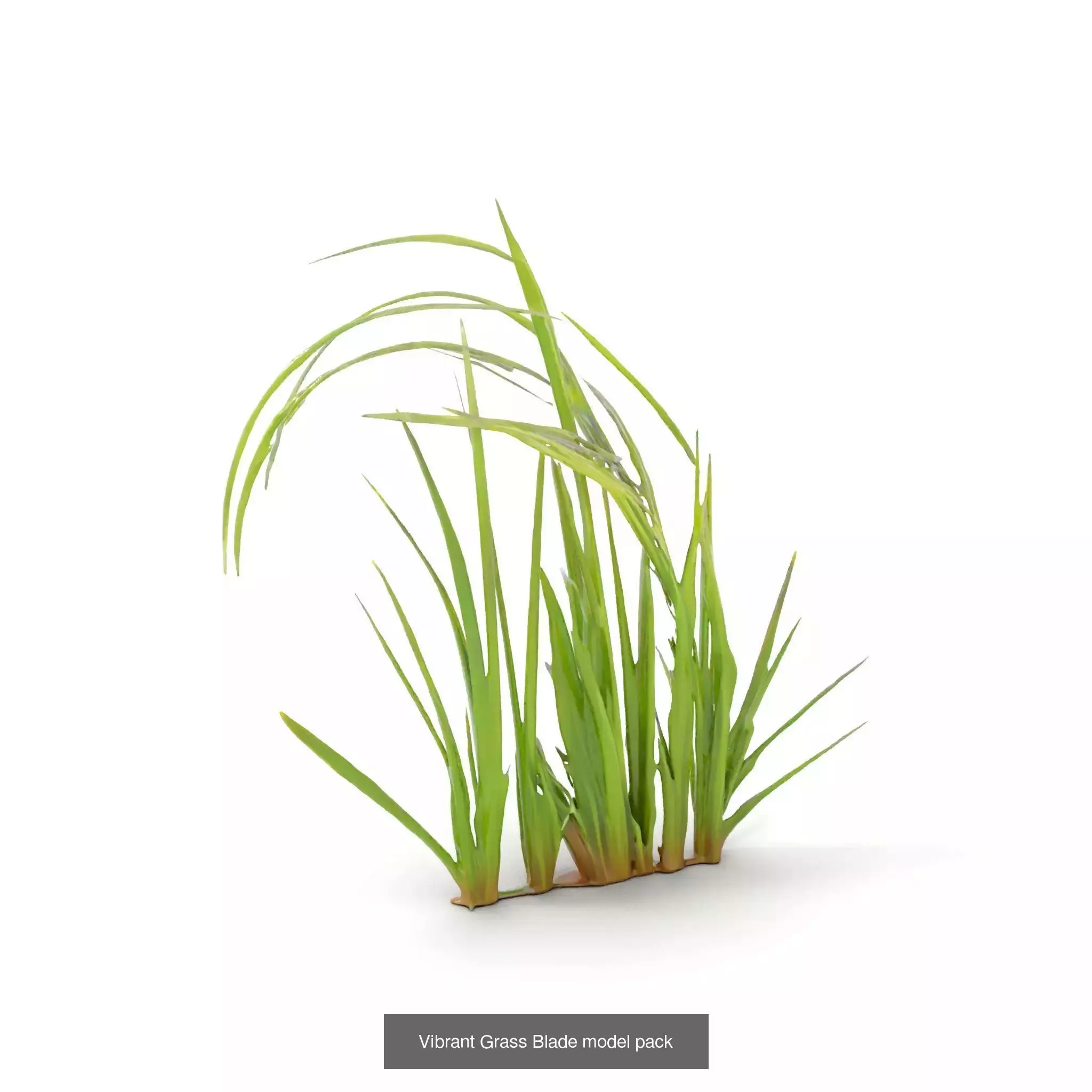 Natures Artistry A 3D Grass Model Collection _32