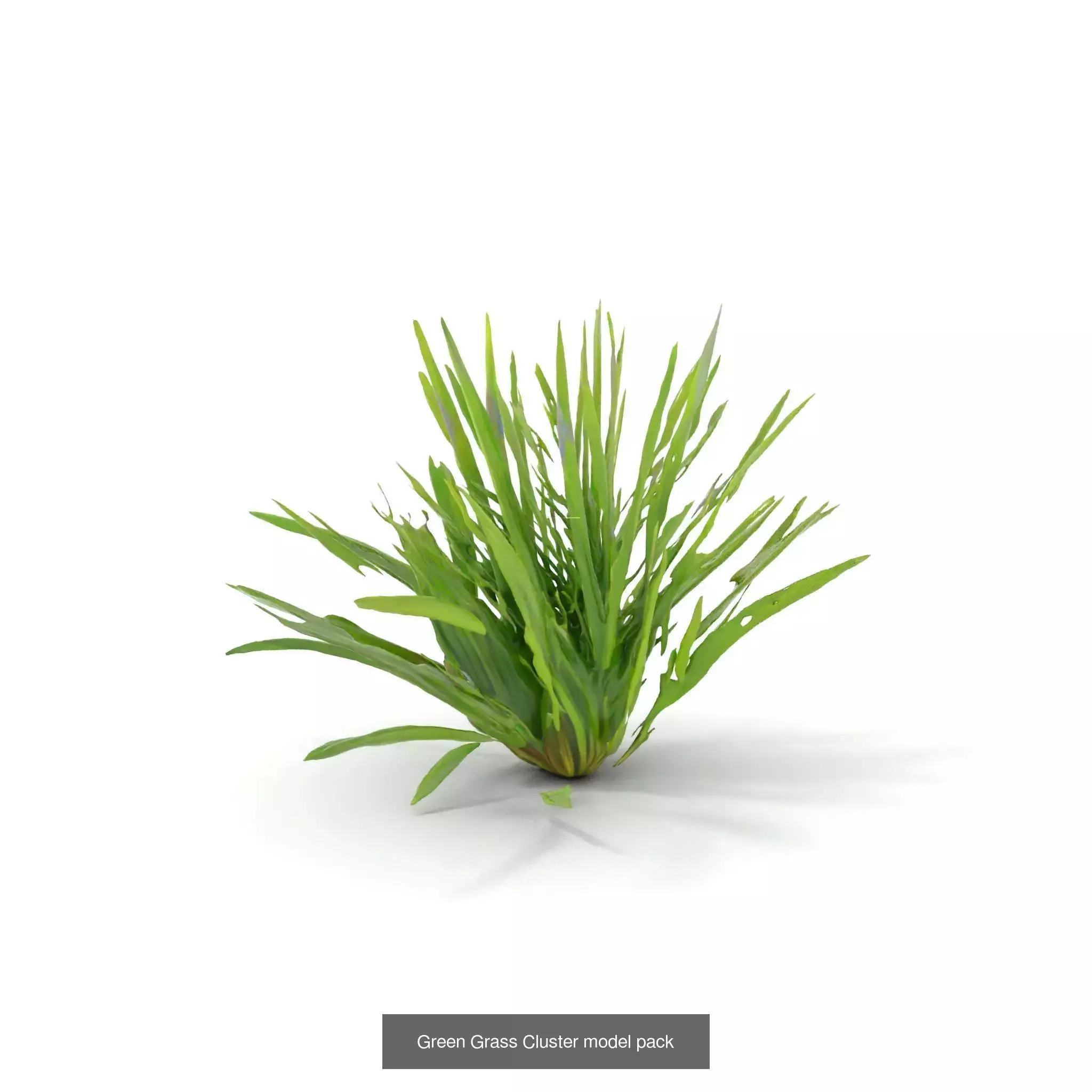 Natures Artistry A 3D Grass Model Collection _33