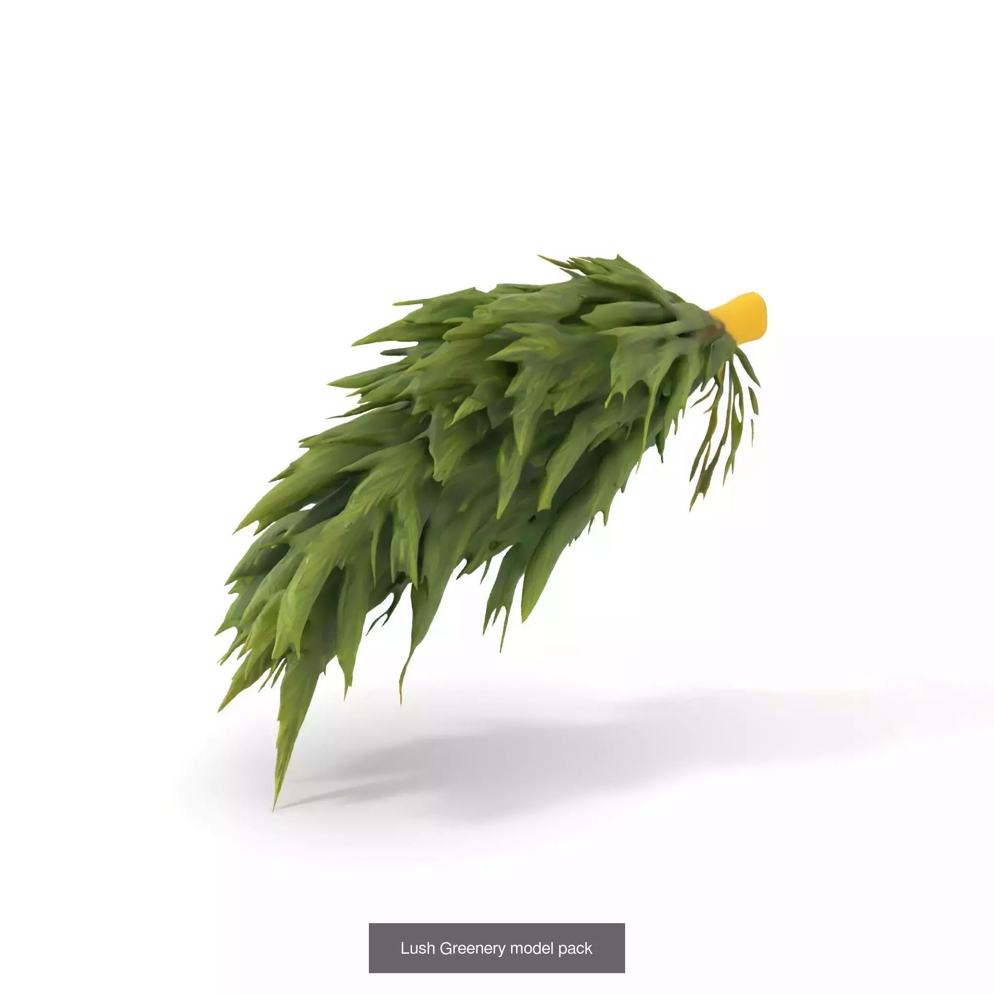 Natures Artistry A 3D Grass Model Collection _29