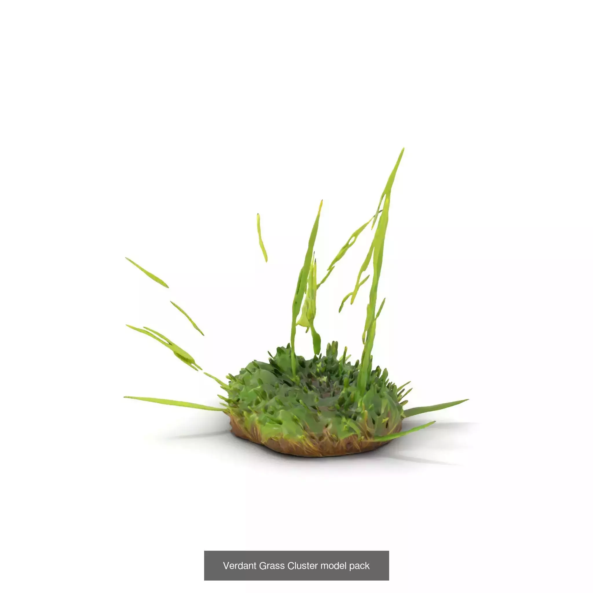 Natures Artistry A 3D Grass Model Collection _37
