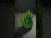 Natures Artistry A 3D Grass Model Collection _19