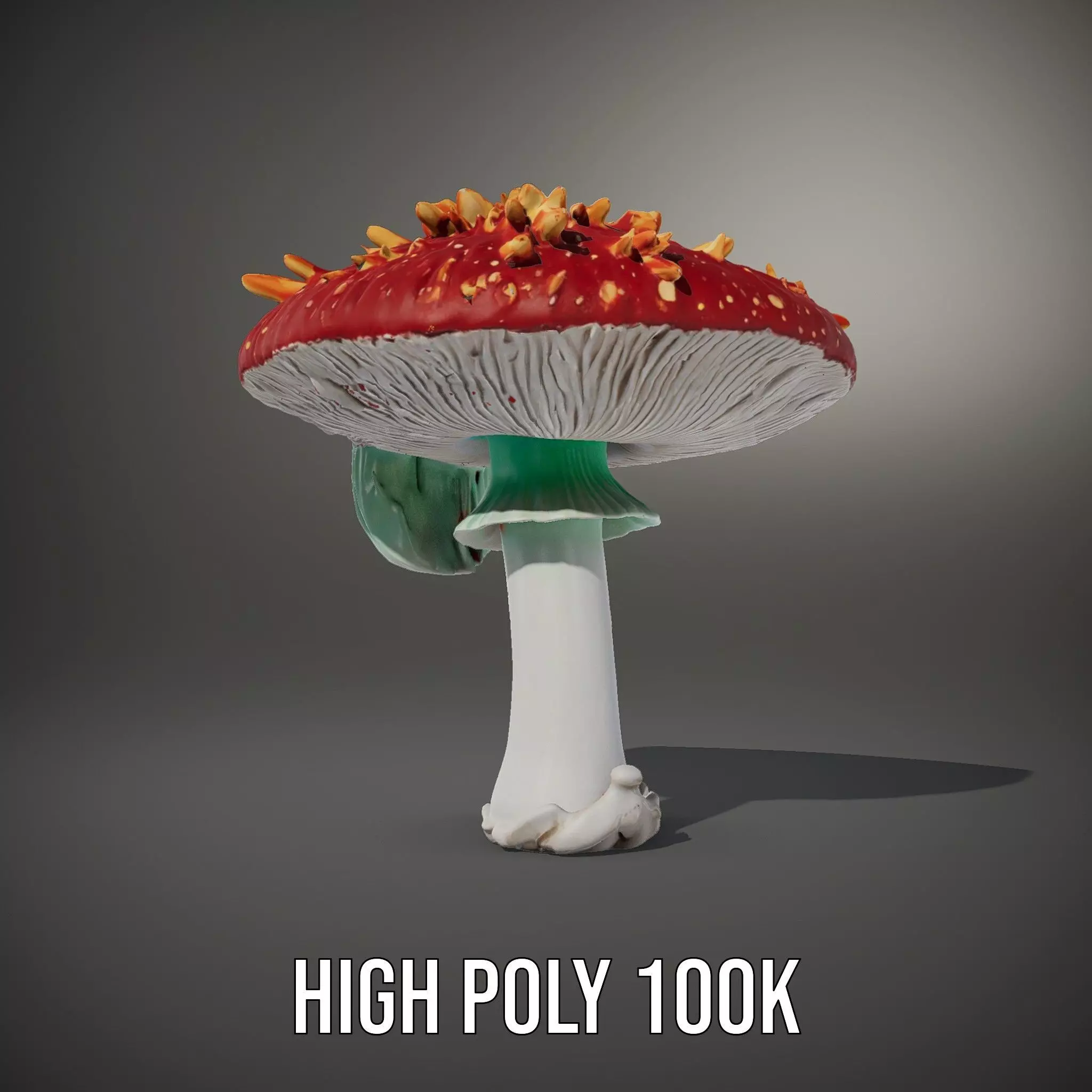 Vibrant Mushroom Cap model pack Low-poly 3D model_8