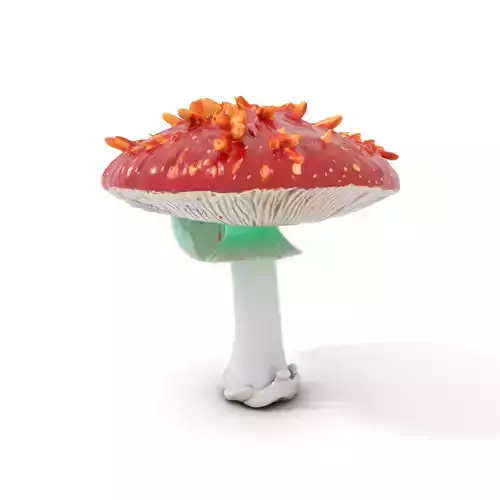 Vibrant Mushroom Cap model pack